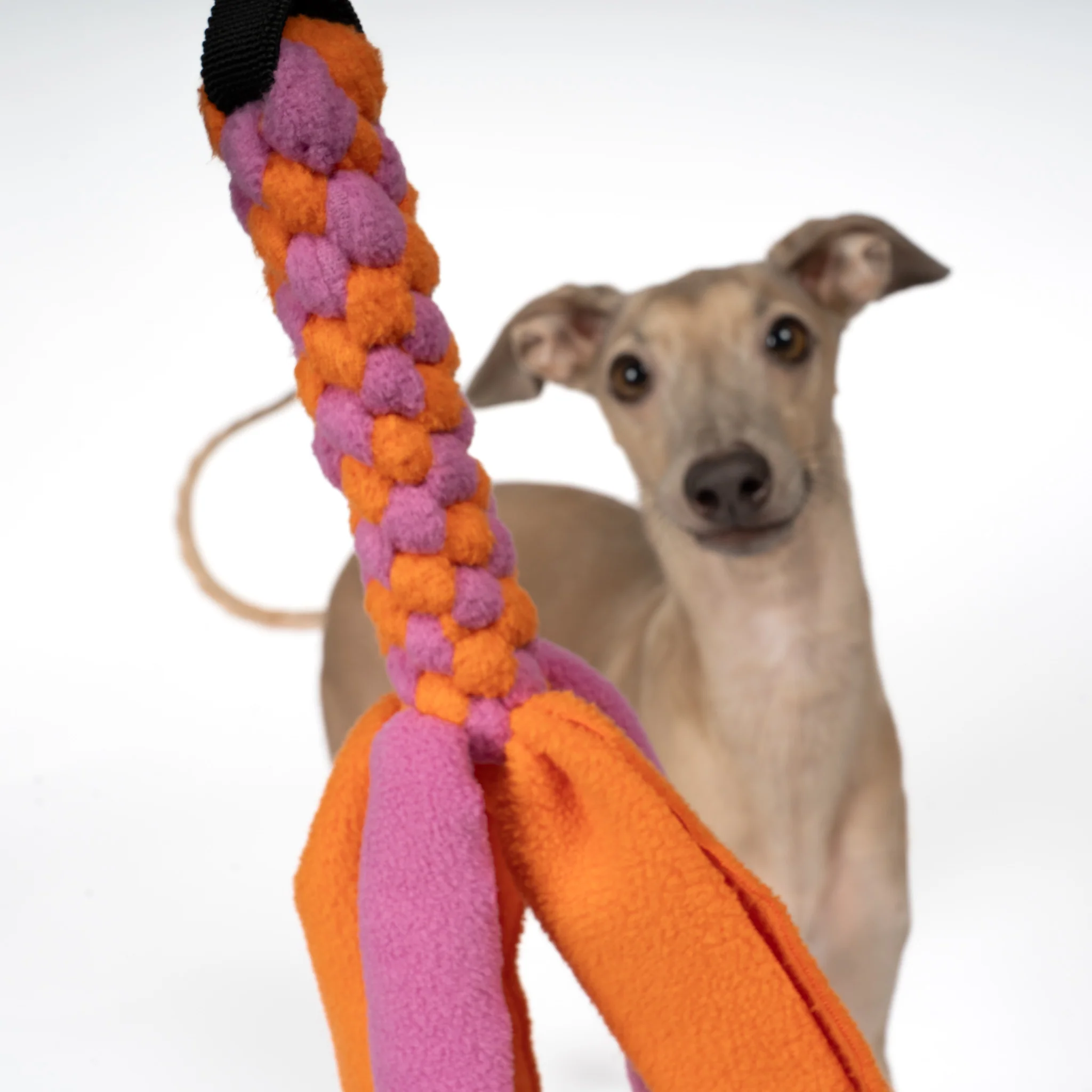 Bungee-Tau Bubblegum / Orange - Image 7