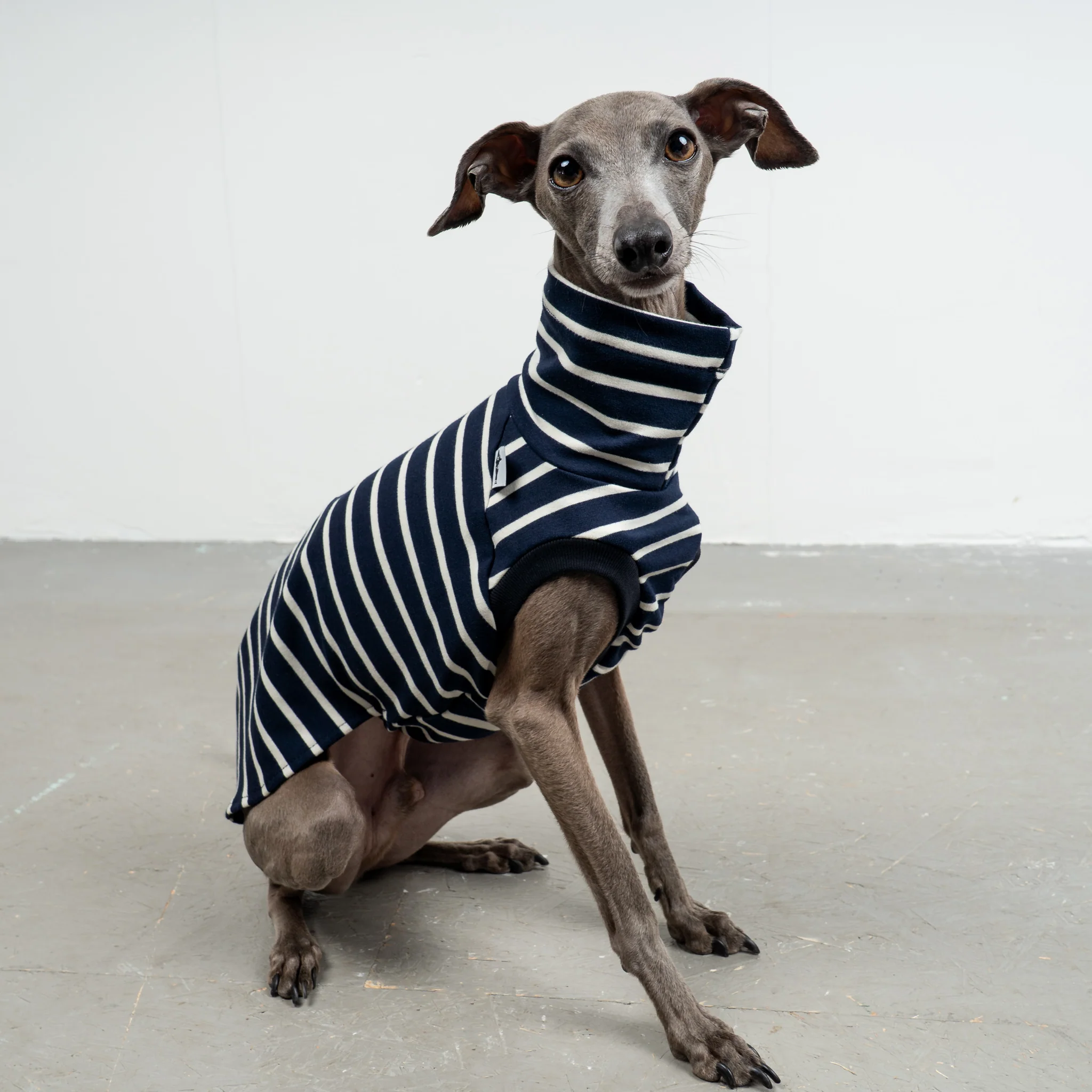 COTTON SHIRT Iggy Navy - Image 2