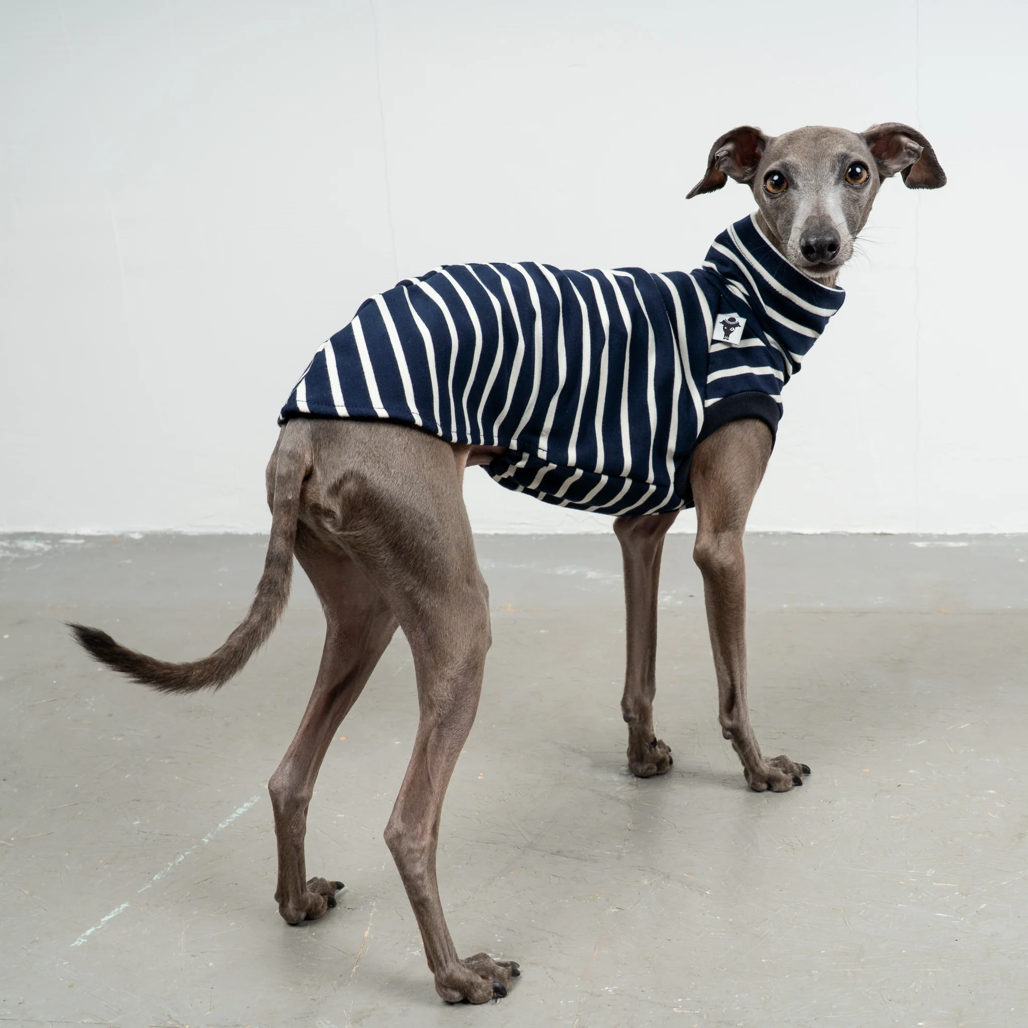 COTTON SHIRT Iggy Navy - Image 3