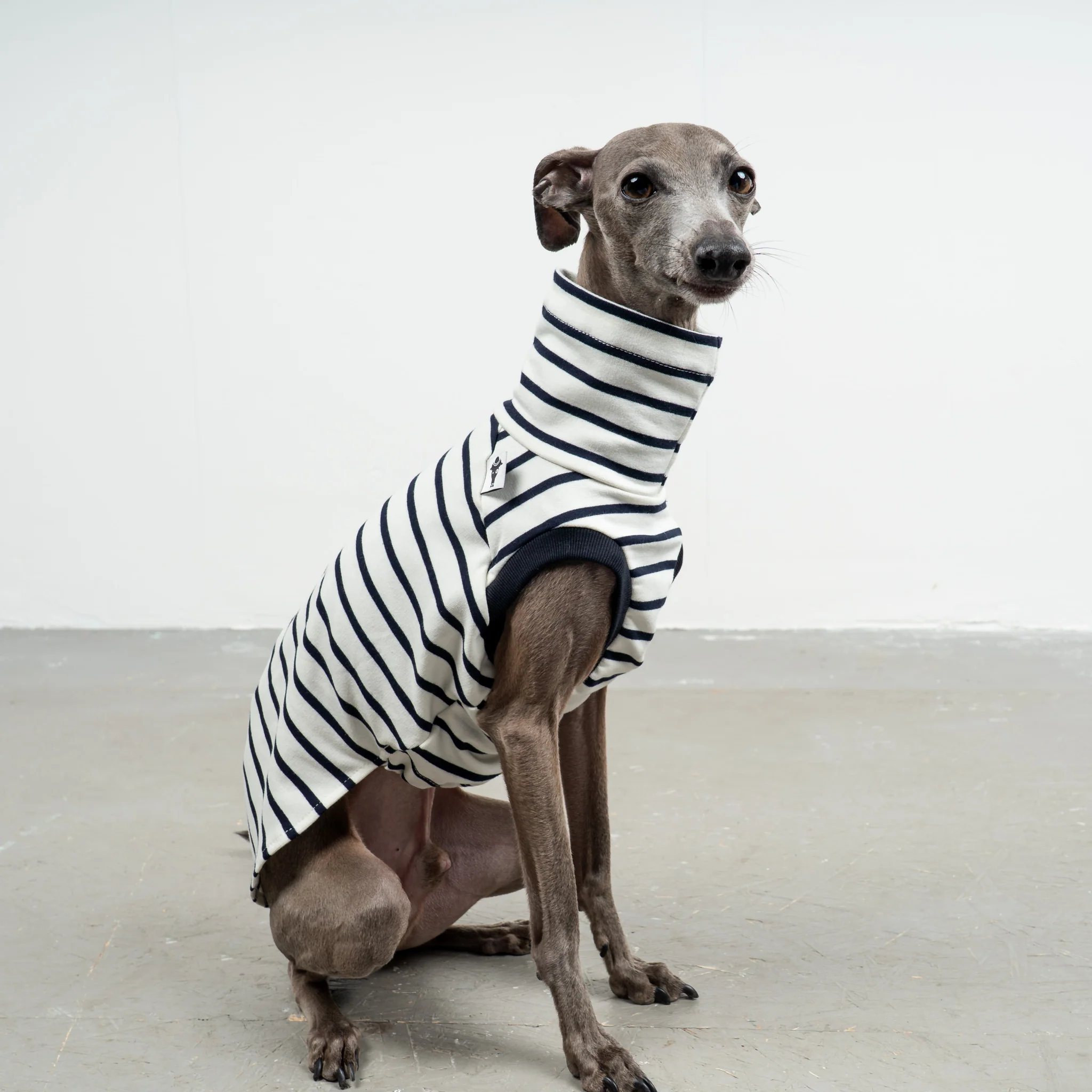 COTTON SHIRT Iggy White - Image 2