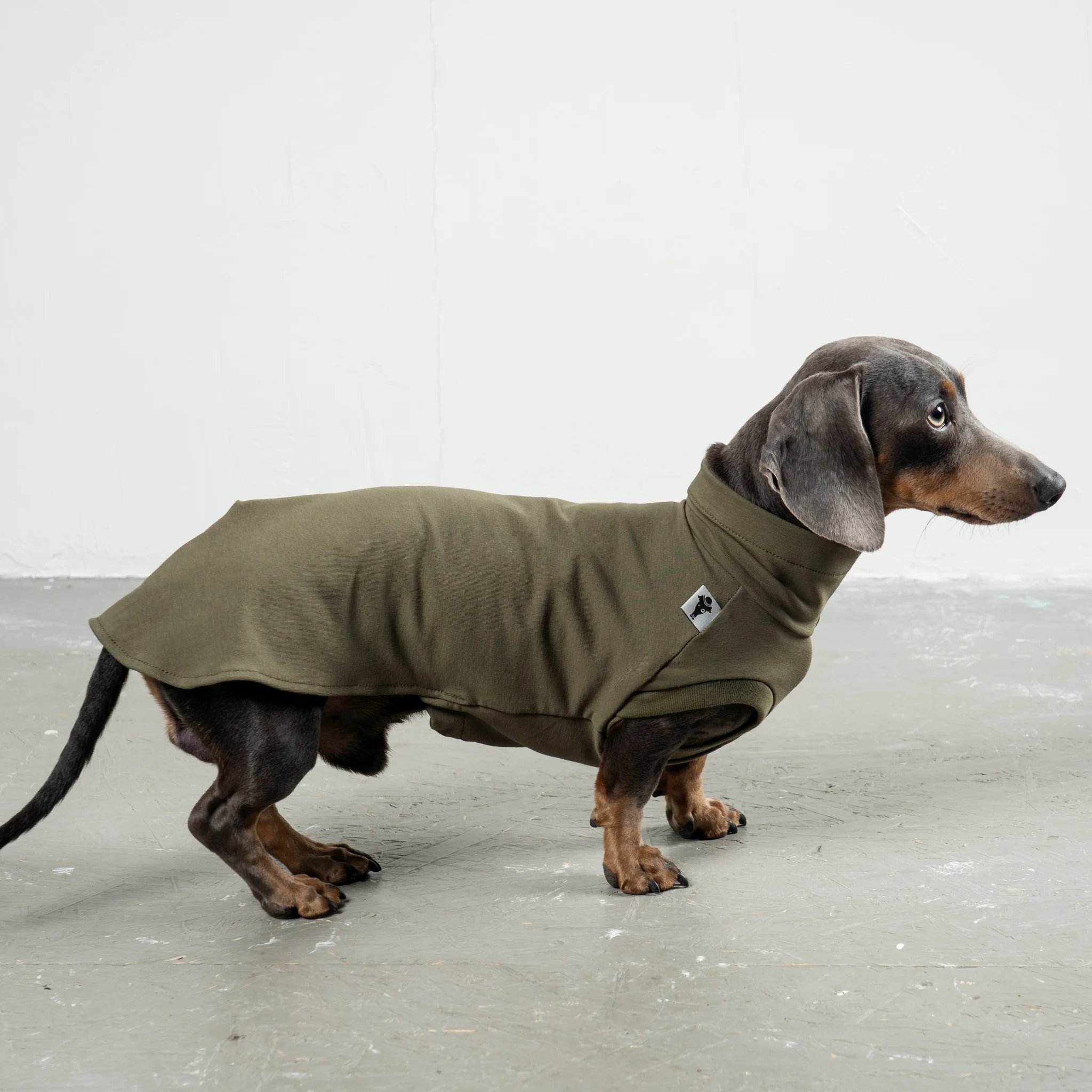 COTTON SHIRT Dackel Dark Olive - Image 3