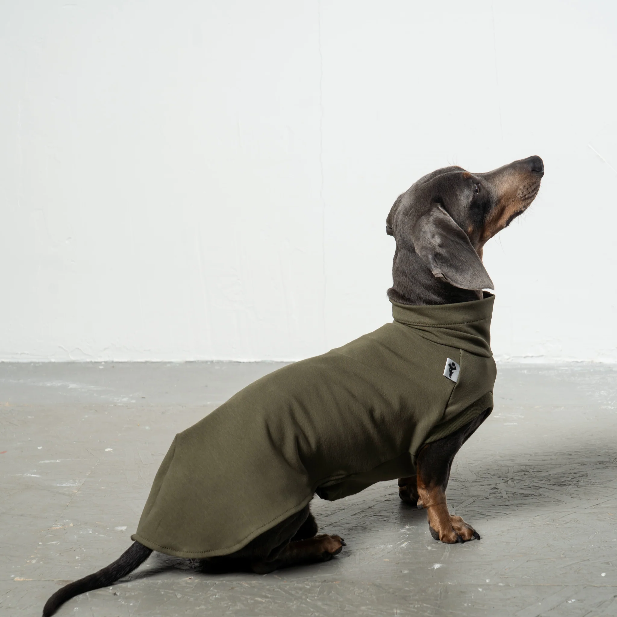 COTTON SHIRT Dackel Dark Olive - Image 4
