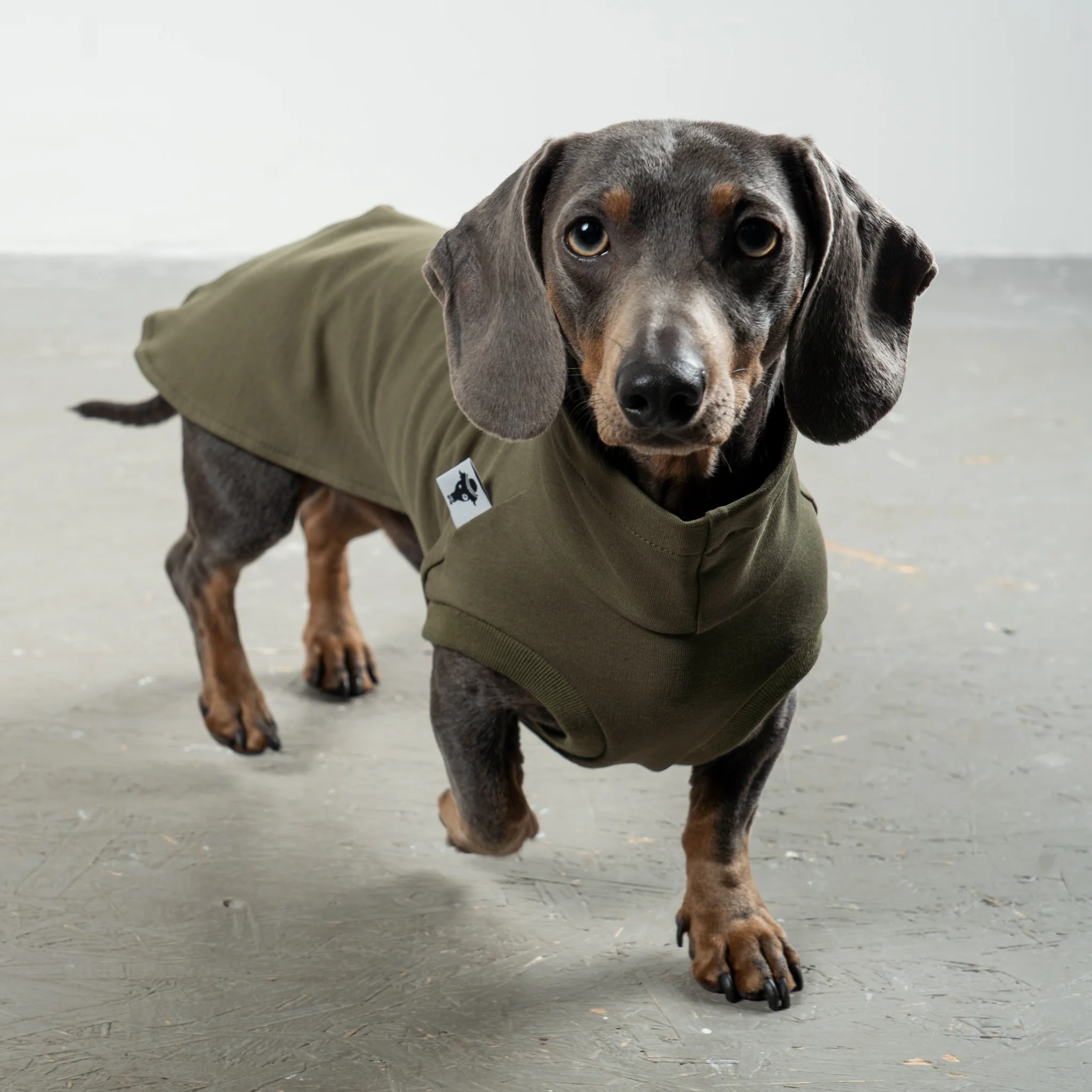 COTTON SHIRT Dackel Dark Olive - Image 5