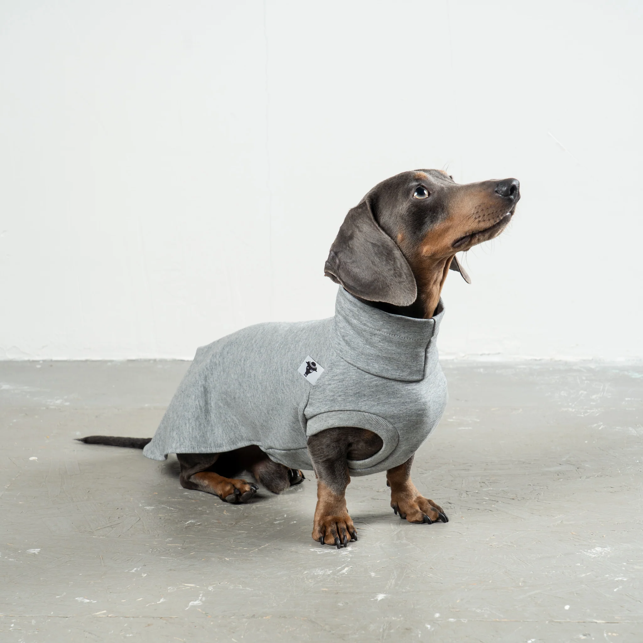COTTON SHIRT Dackel Grey Melange - Image 2