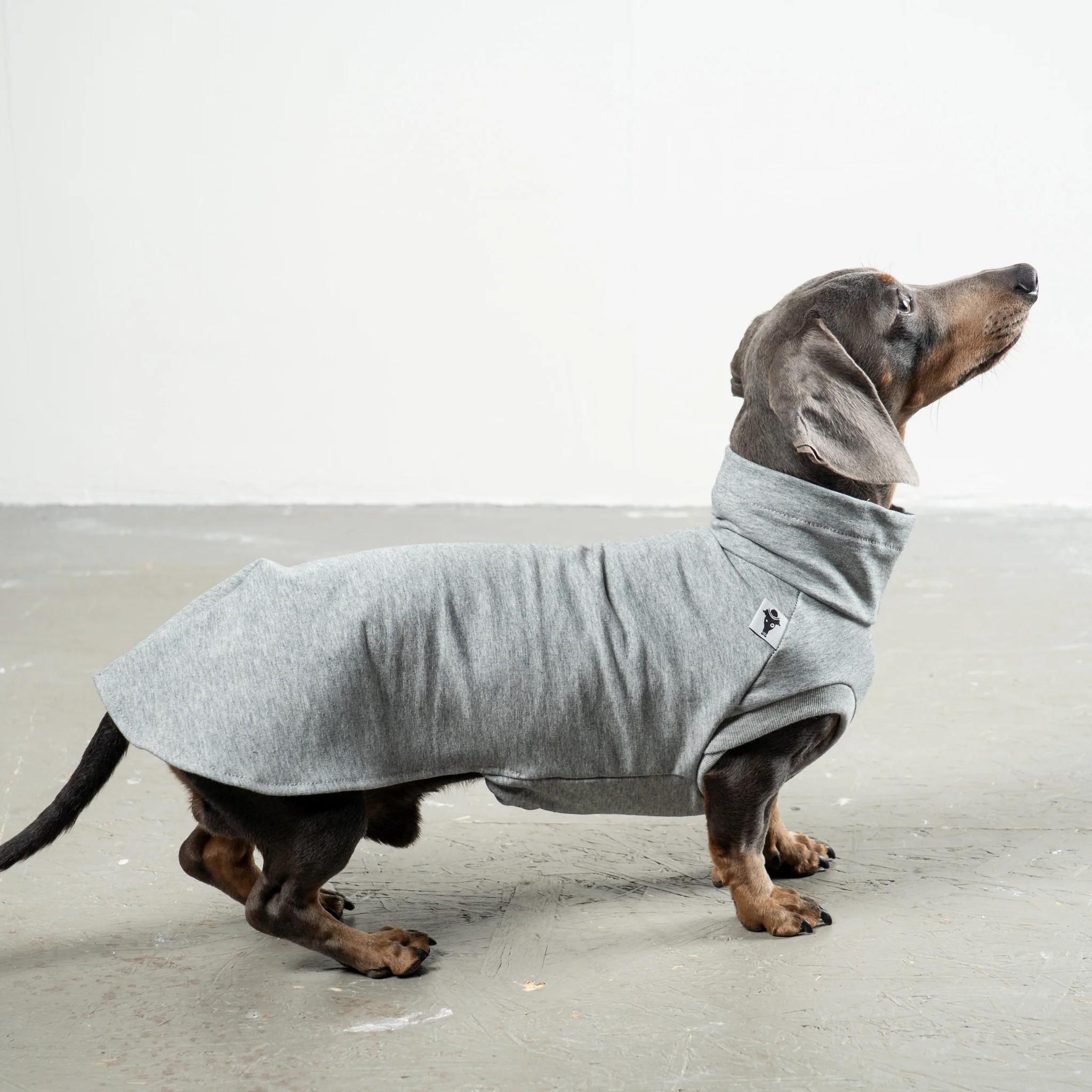 COTTON SHIRT Dackel Grey Melange - Image 3