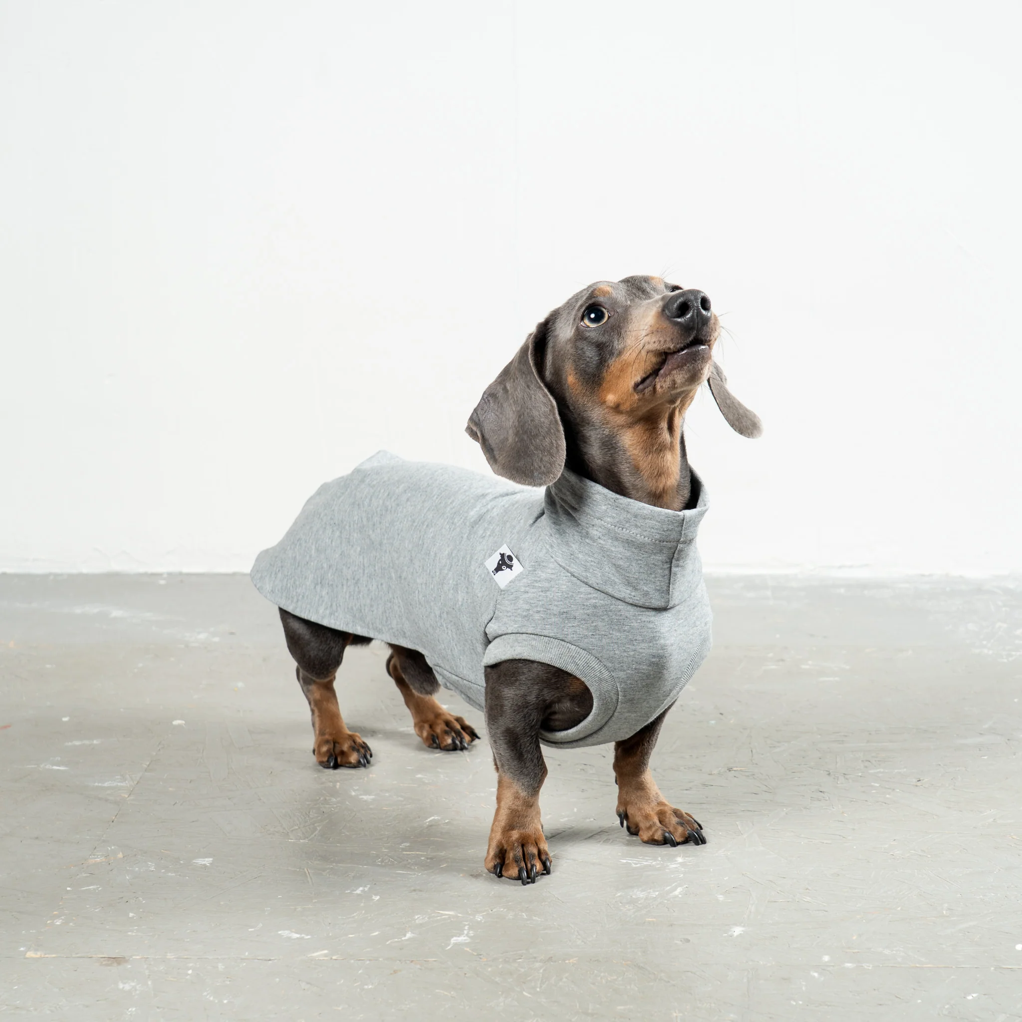 COTTON SHIRT Dackel Grey Melange - Image 4