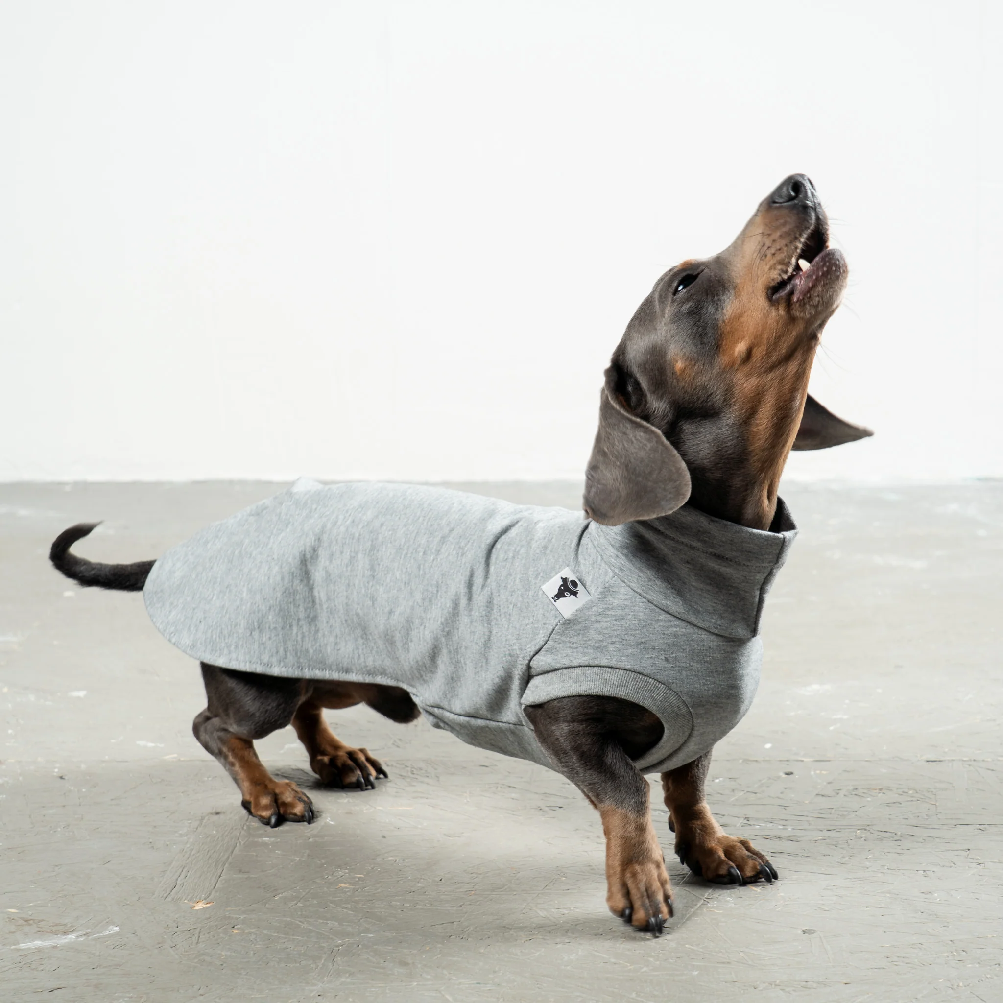 COTTON SHIRT Dackel Grey Melange - Image 5