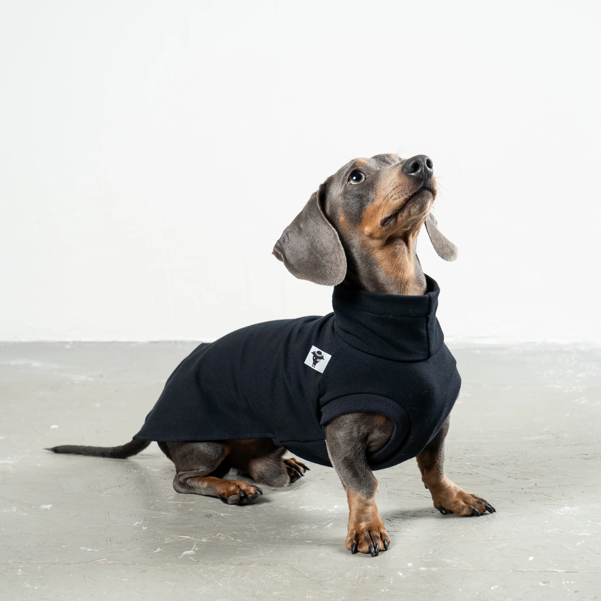 COTTON SHIRT Dackel Schwarz - Image 3