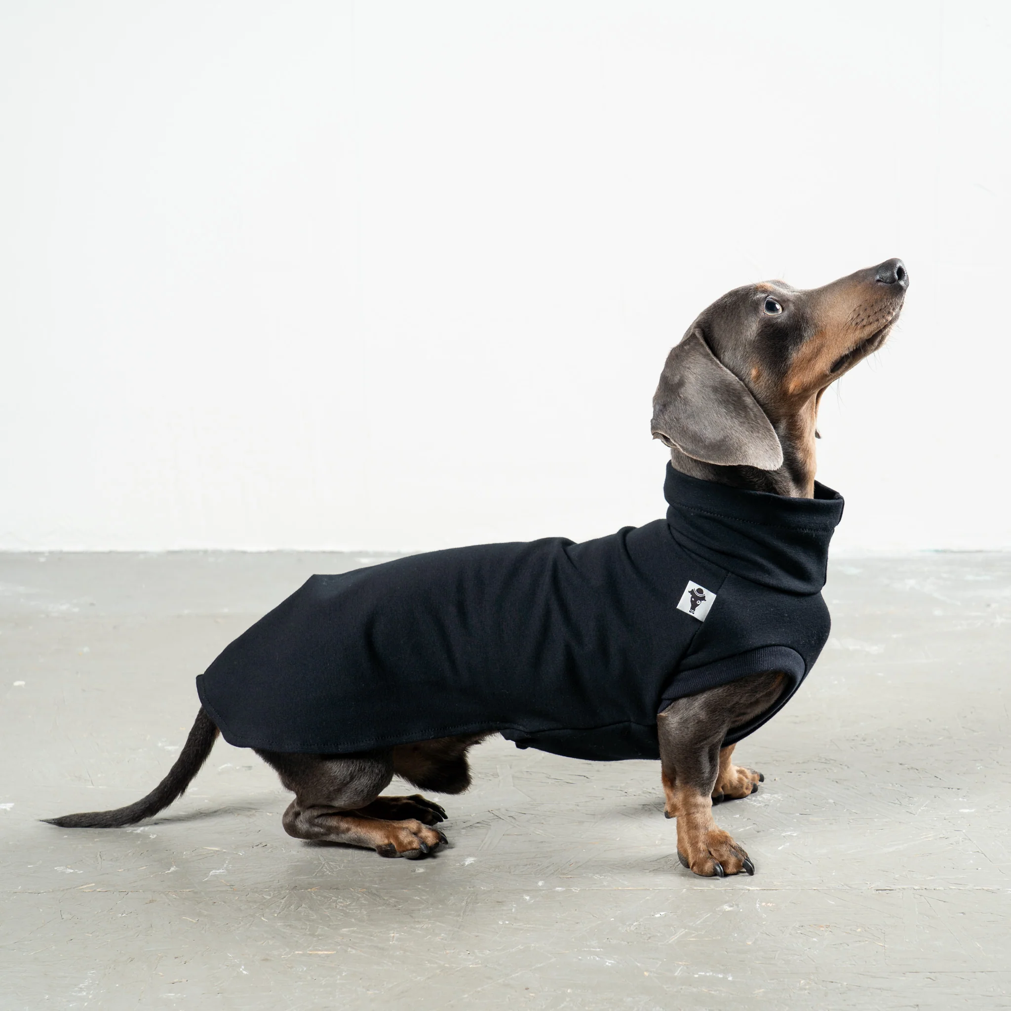 COTTON SHIRT Dackel Schwarz - Image 4