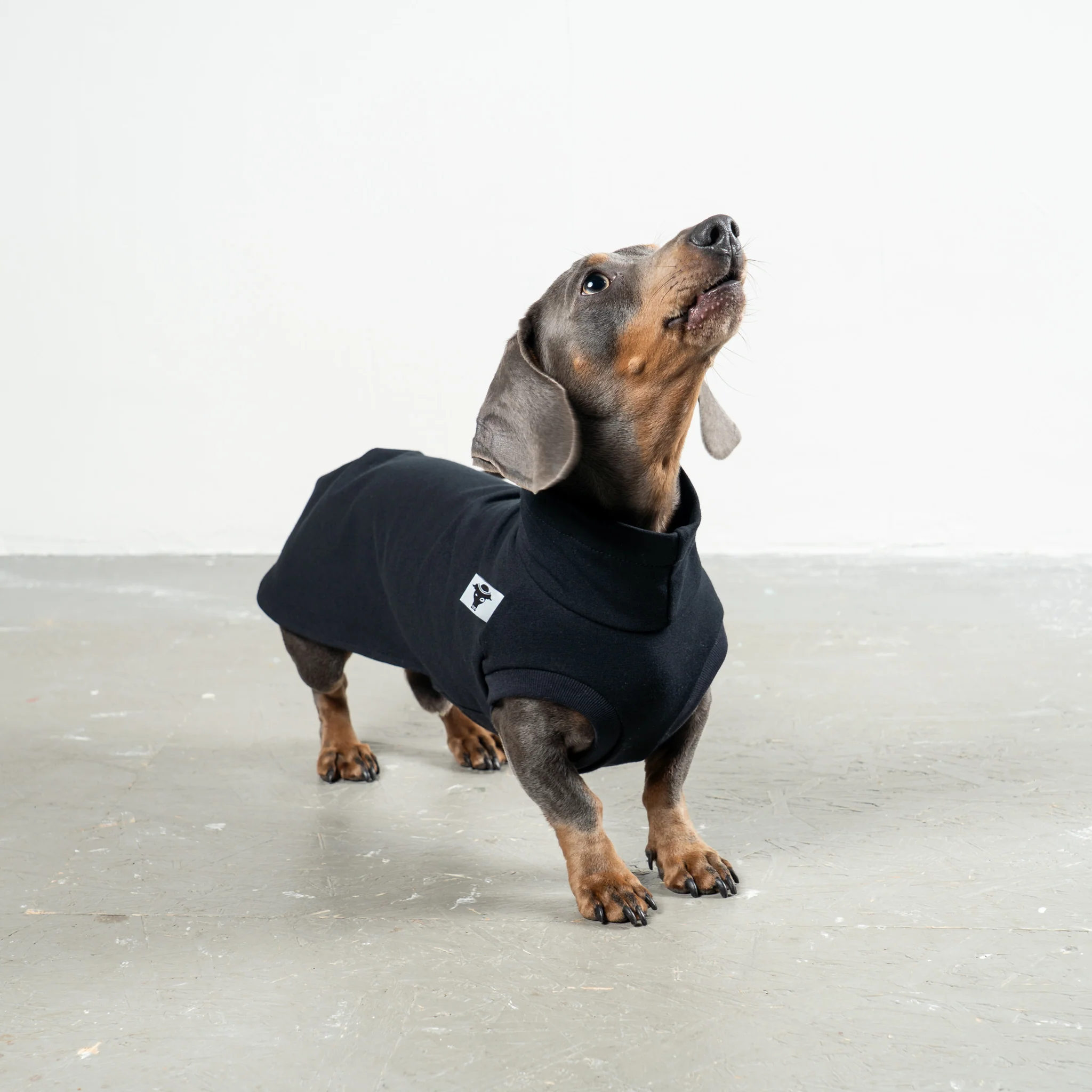 COTTON SHIRT Dackel Schwarz - Image 5