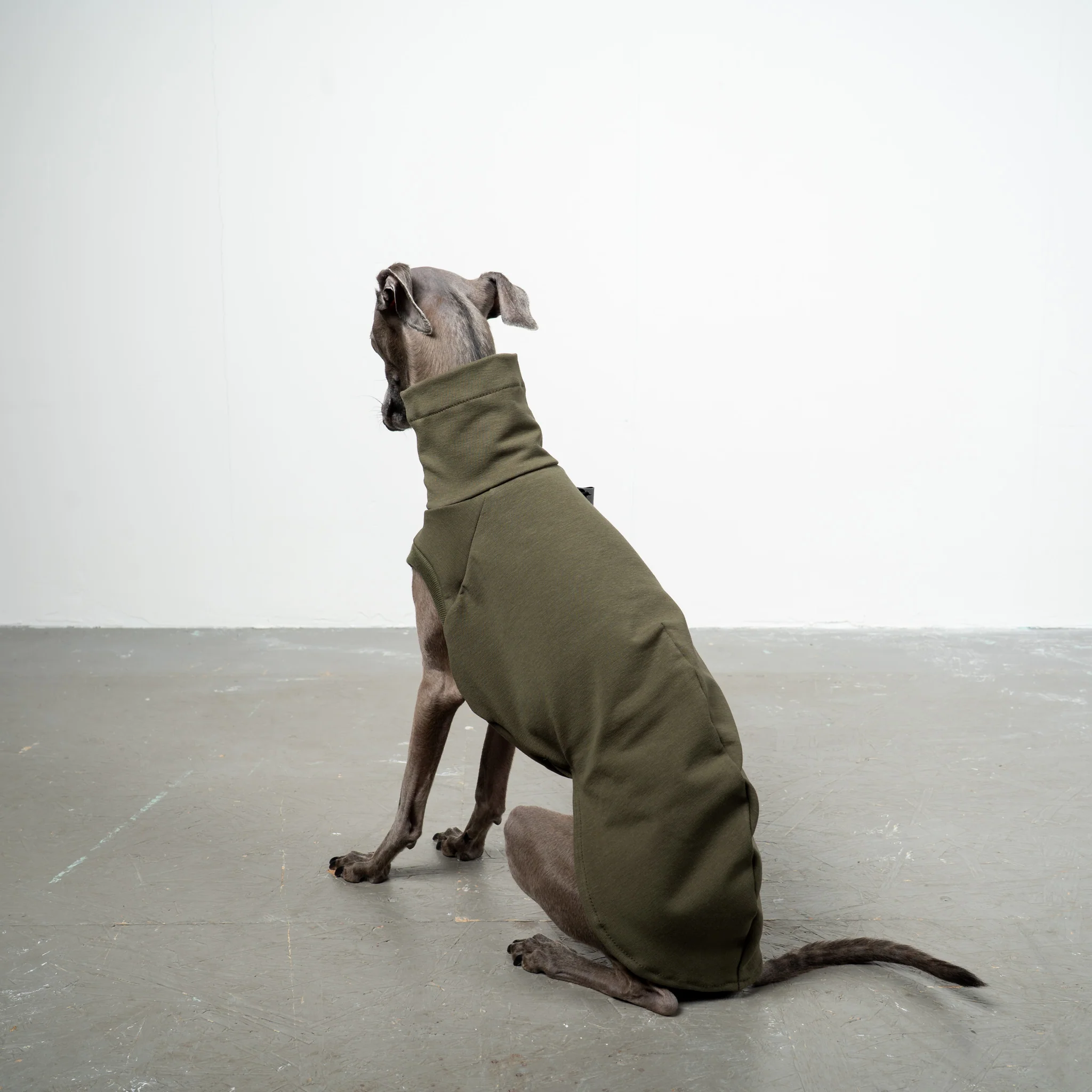 COTTON SHIRT Iggy Dark Olive - Image 4