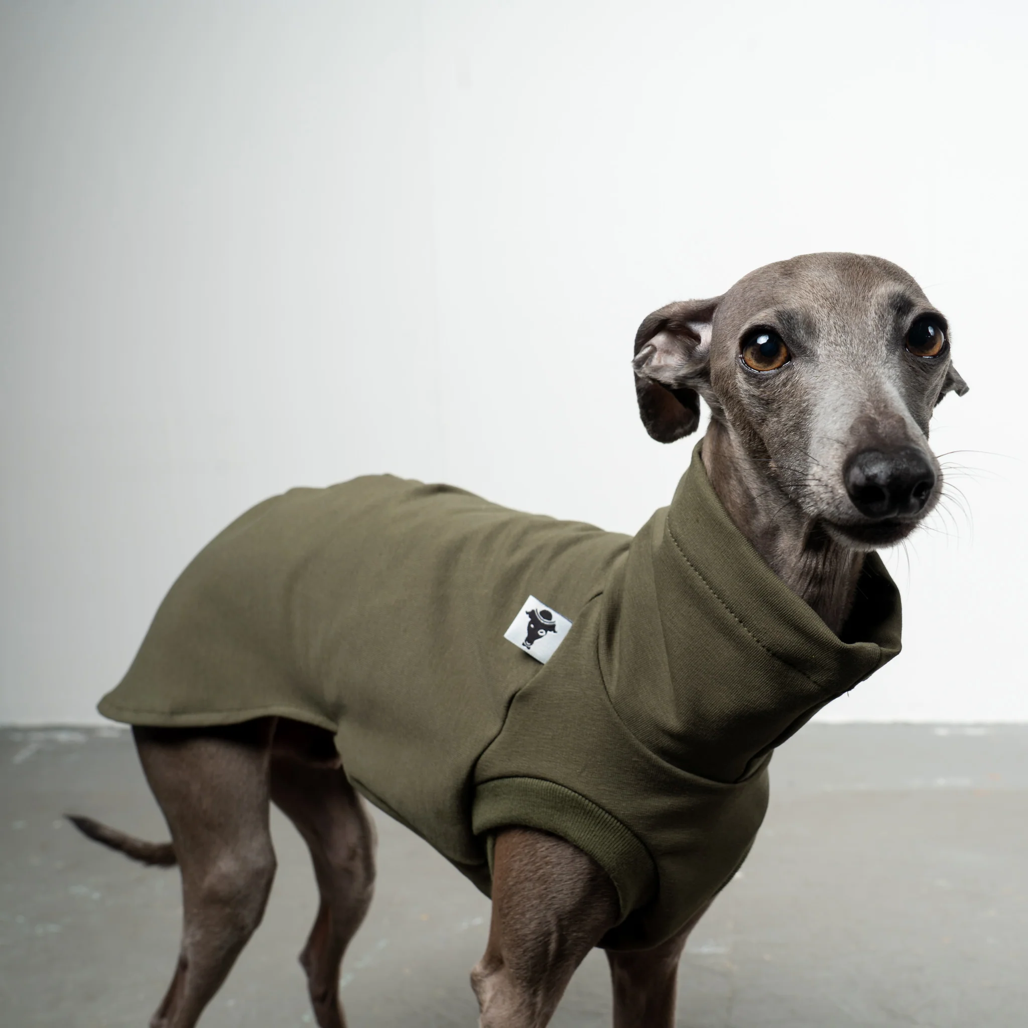COTTON SHIRT Iggy Dark Olive - Image 5