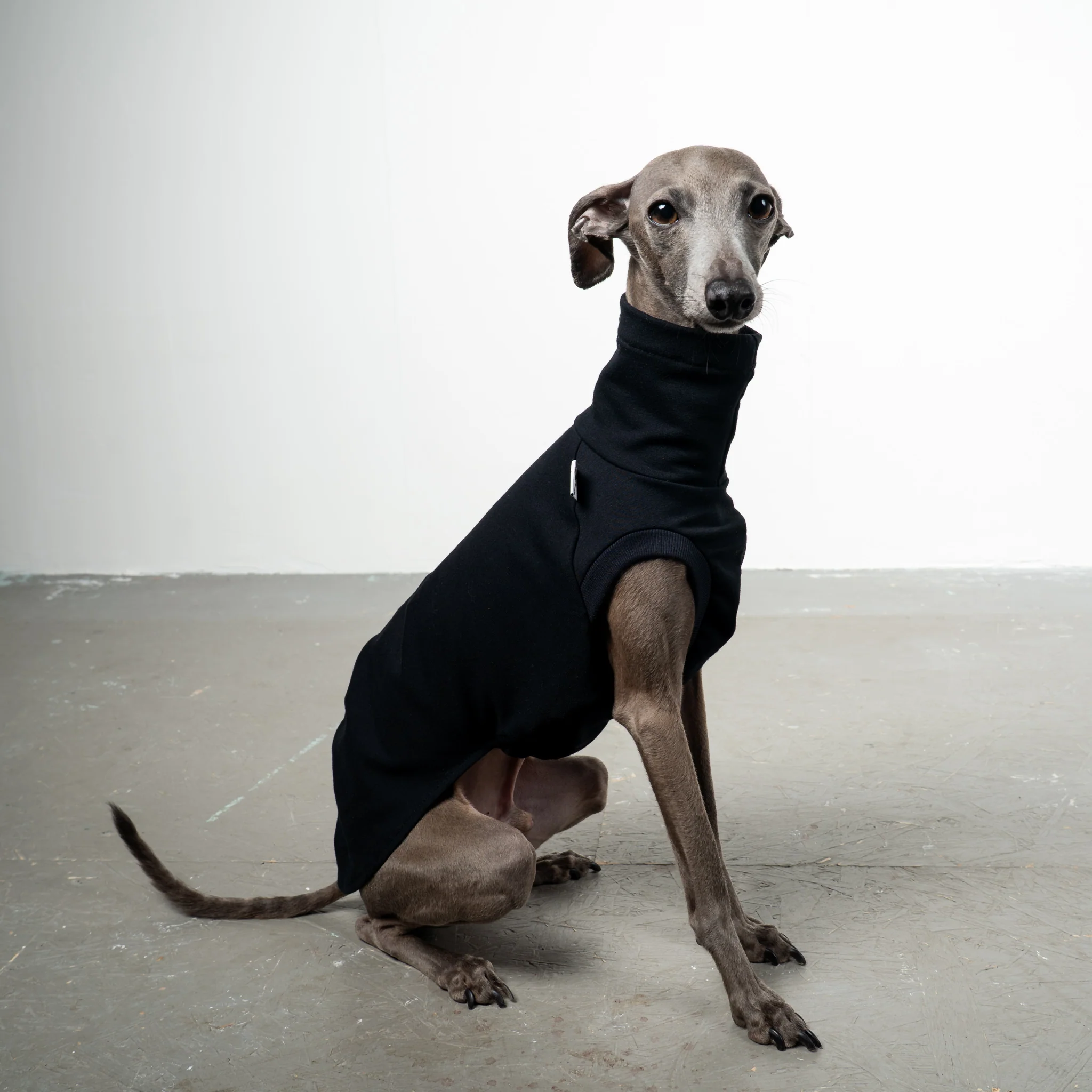 COTTON SHIRT Iggy Schwarz - Image 4
