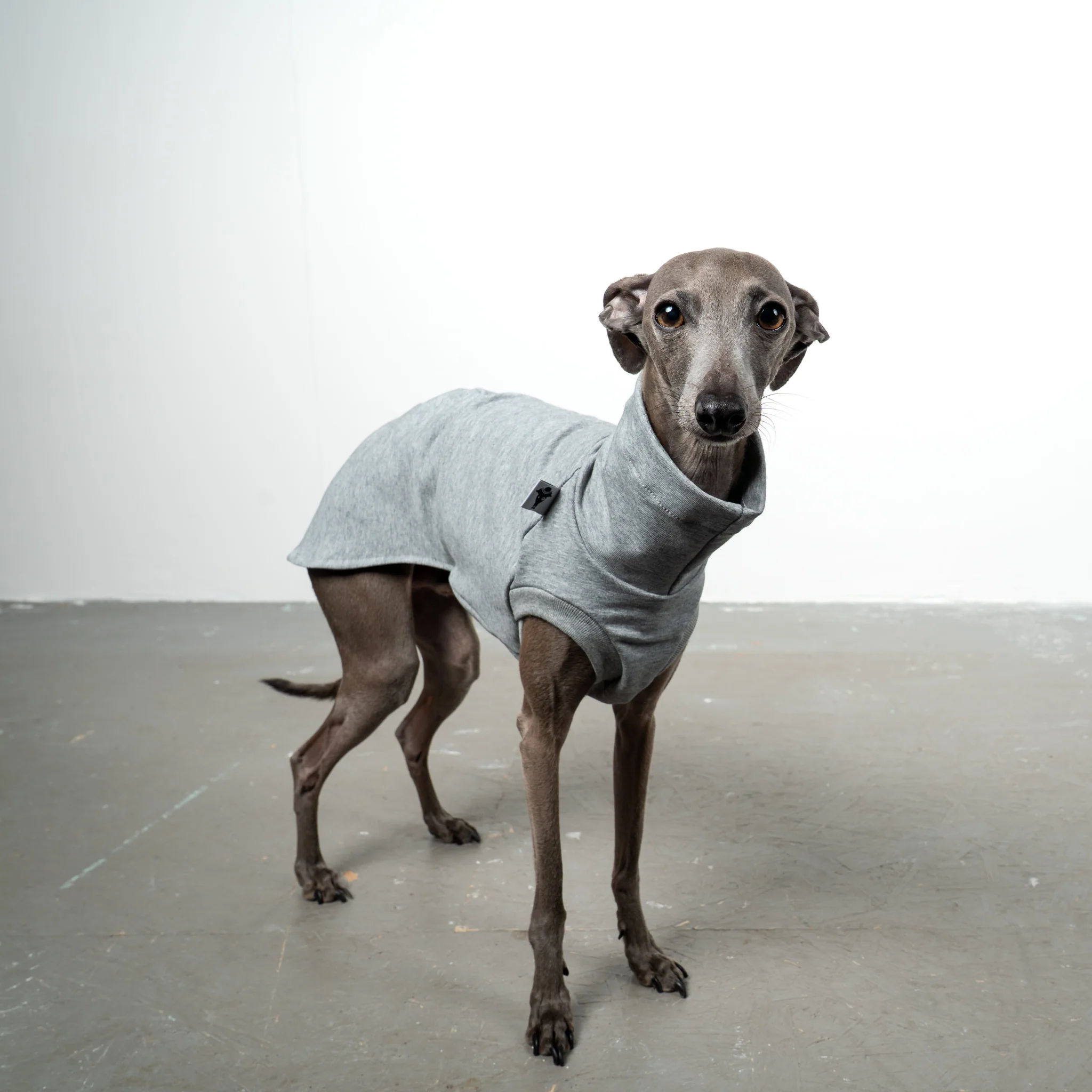 COTTON SHIRT Iggy Grey Melange - Image 3