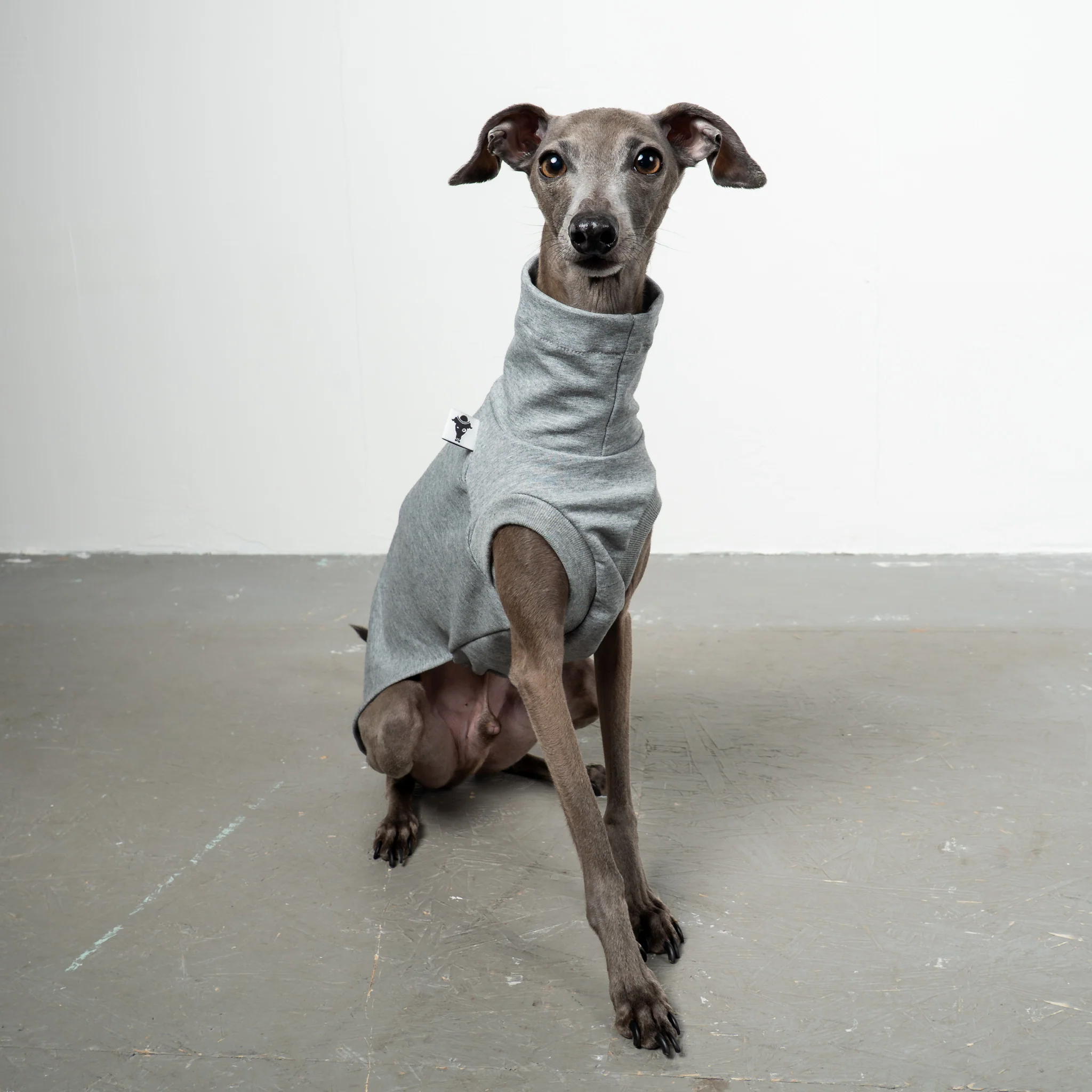 COTTON SHIRT Iggy Grey Melange - Image 4