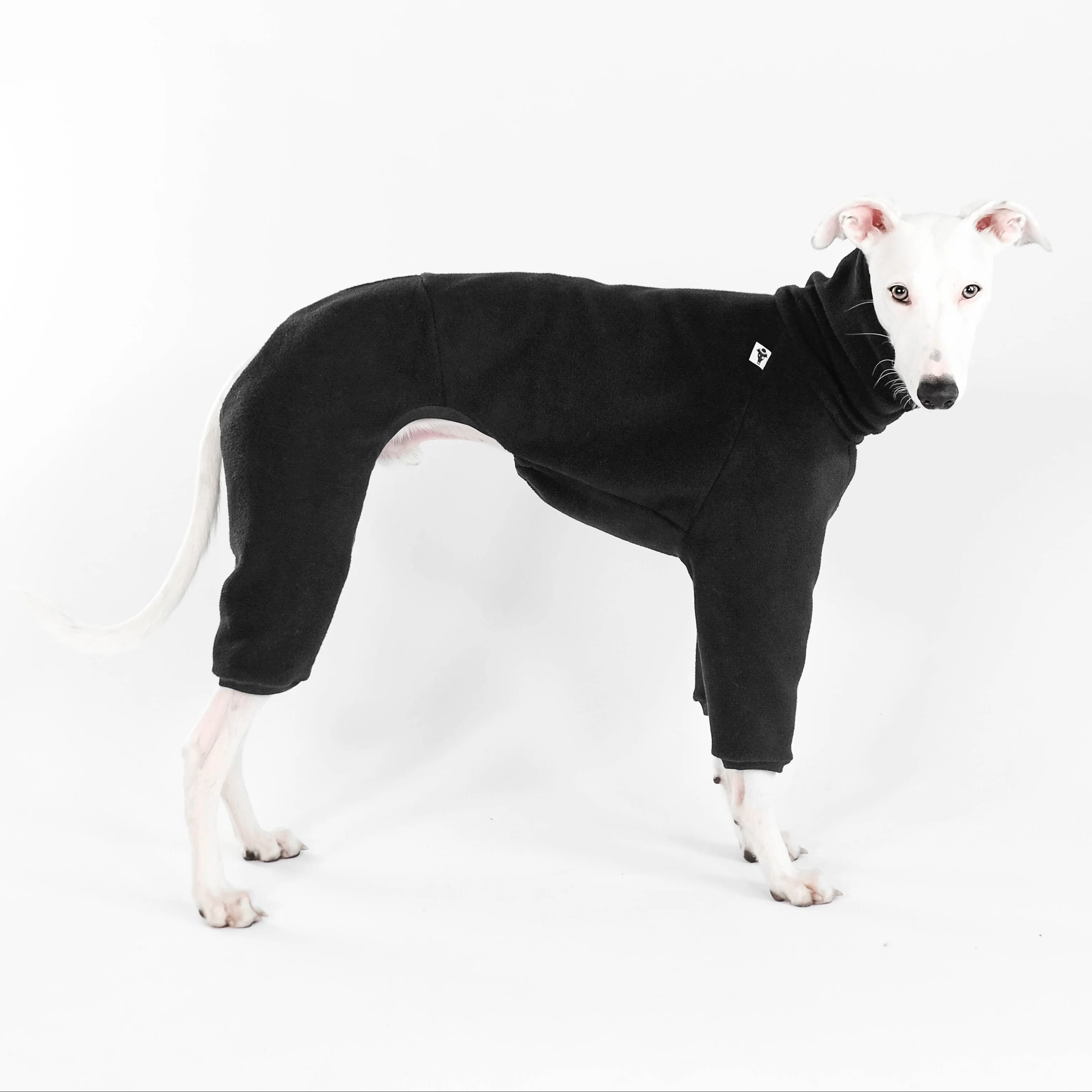 OVERALL Windhund Schwarz - Image 5