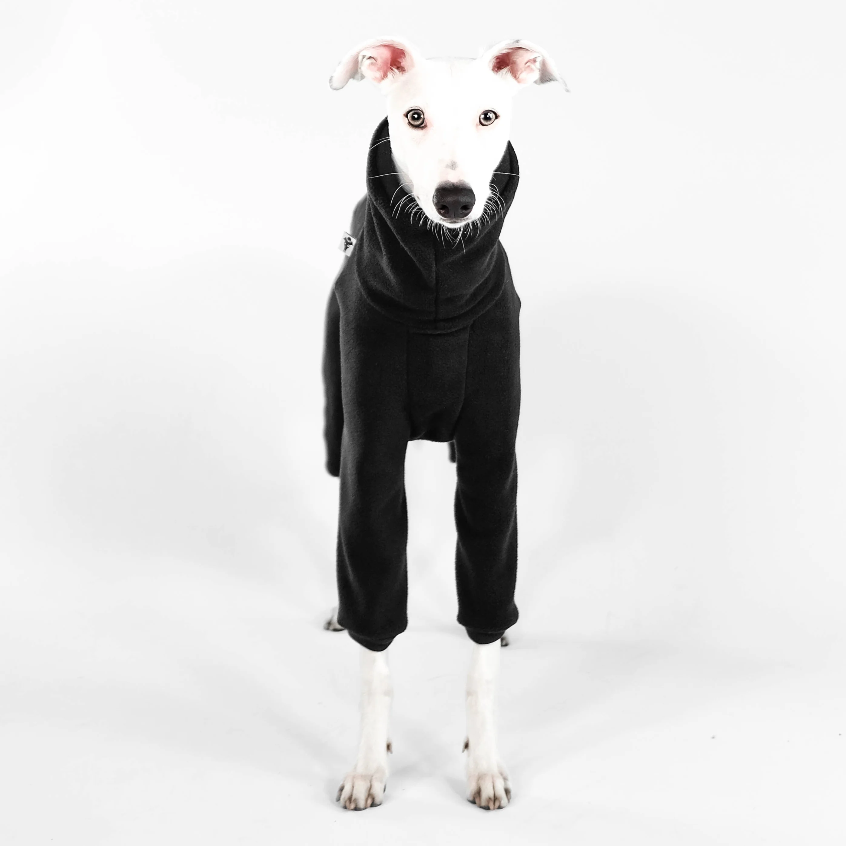 OVERALL Windhund Schwarz - Image 6