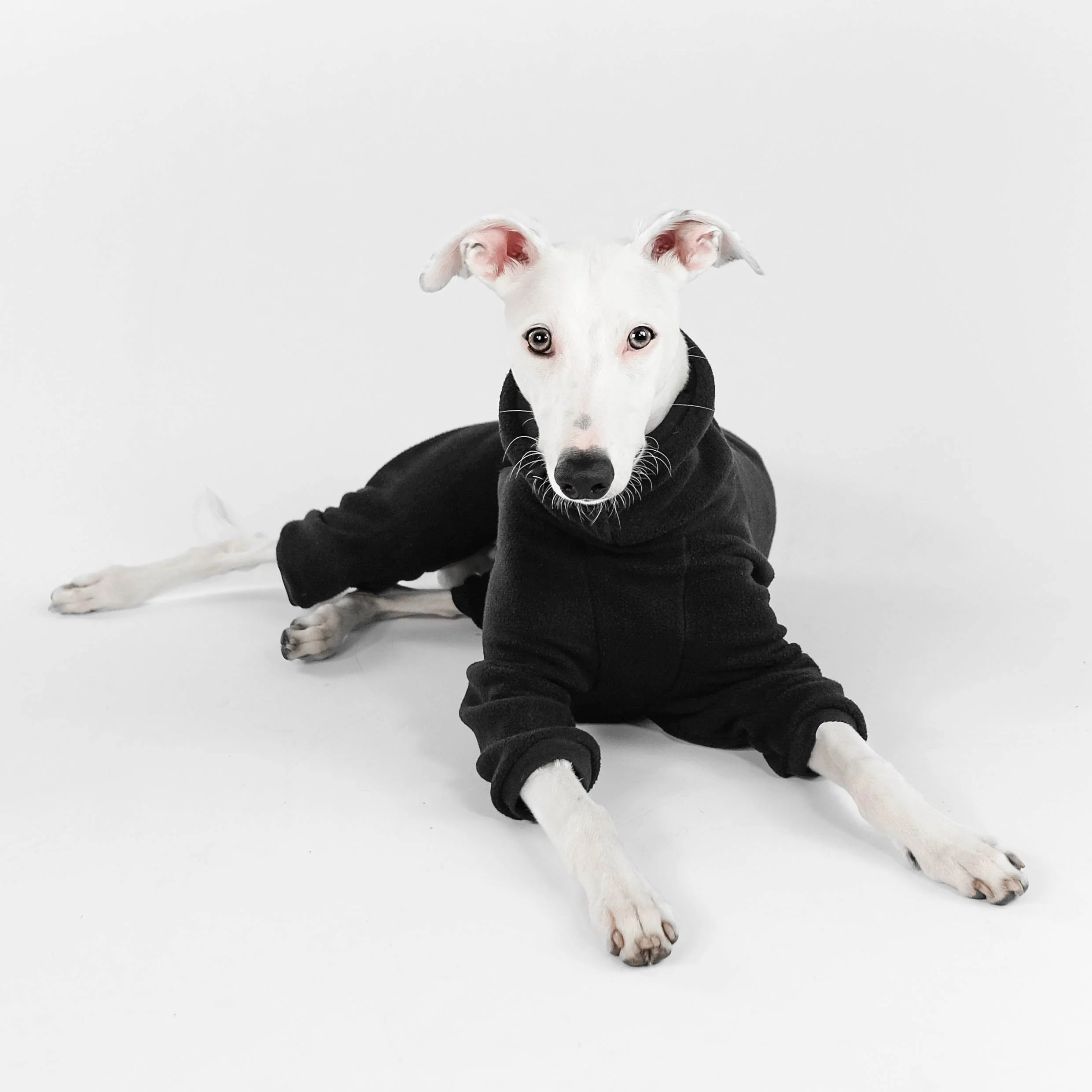 OVERALL Windhund Schwarz - Image 7