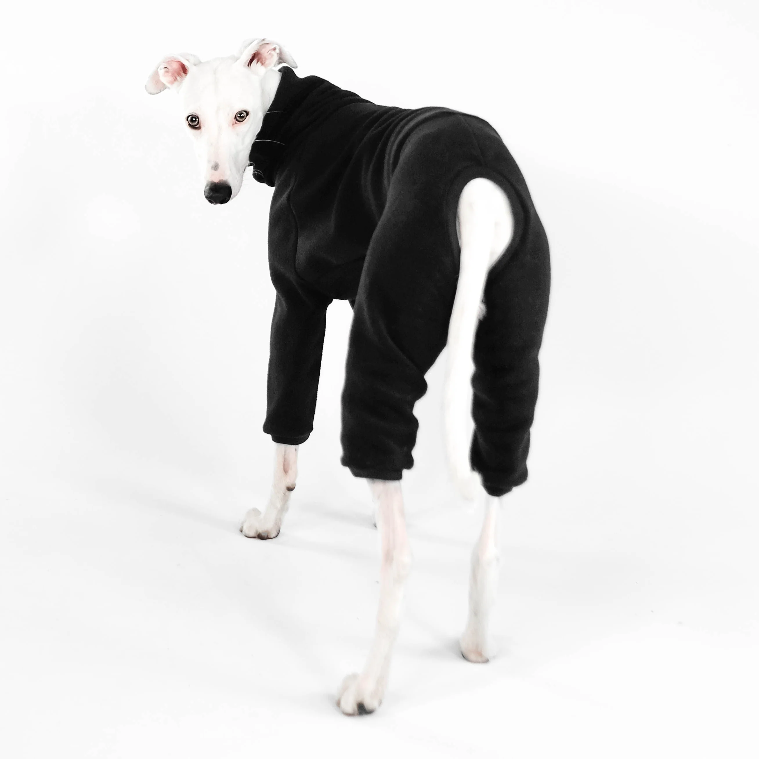 OVERALL Windhund Schwarz - Image 8