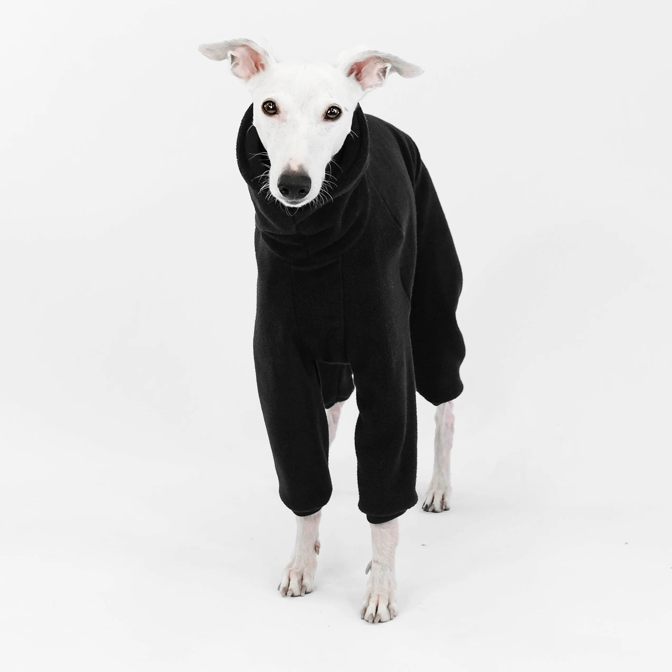 OVERALL Windhund Schwarz - Image 9