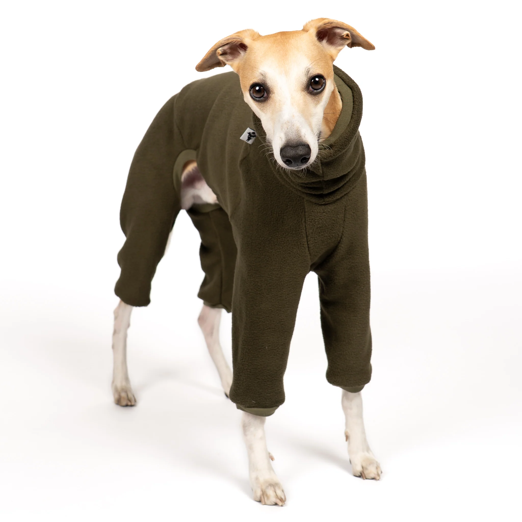 OVERALL Windhund Dark Olive - Image 3