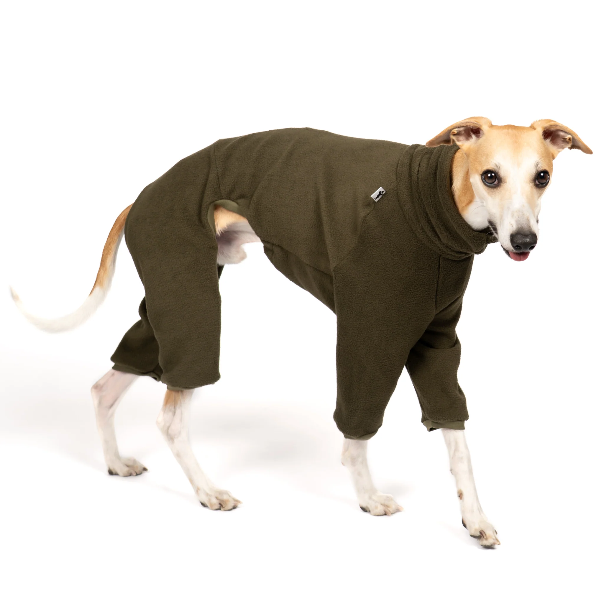 OVERALL Windhund Dark Olive - Image 4