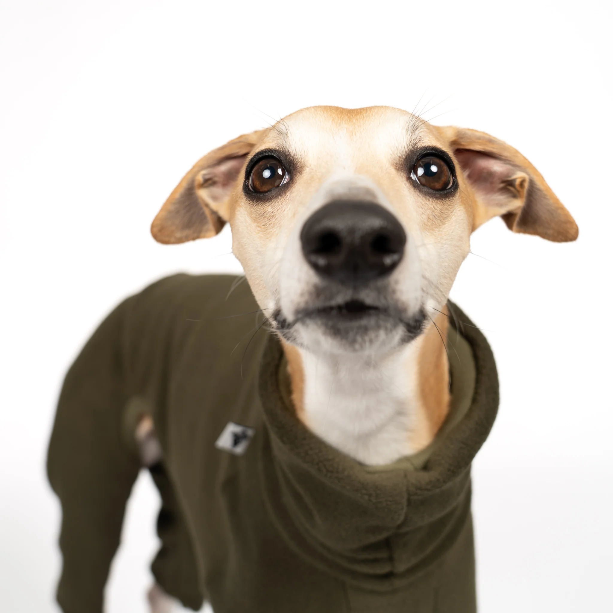 OVERALL Windhund Dark Olive - Image 7