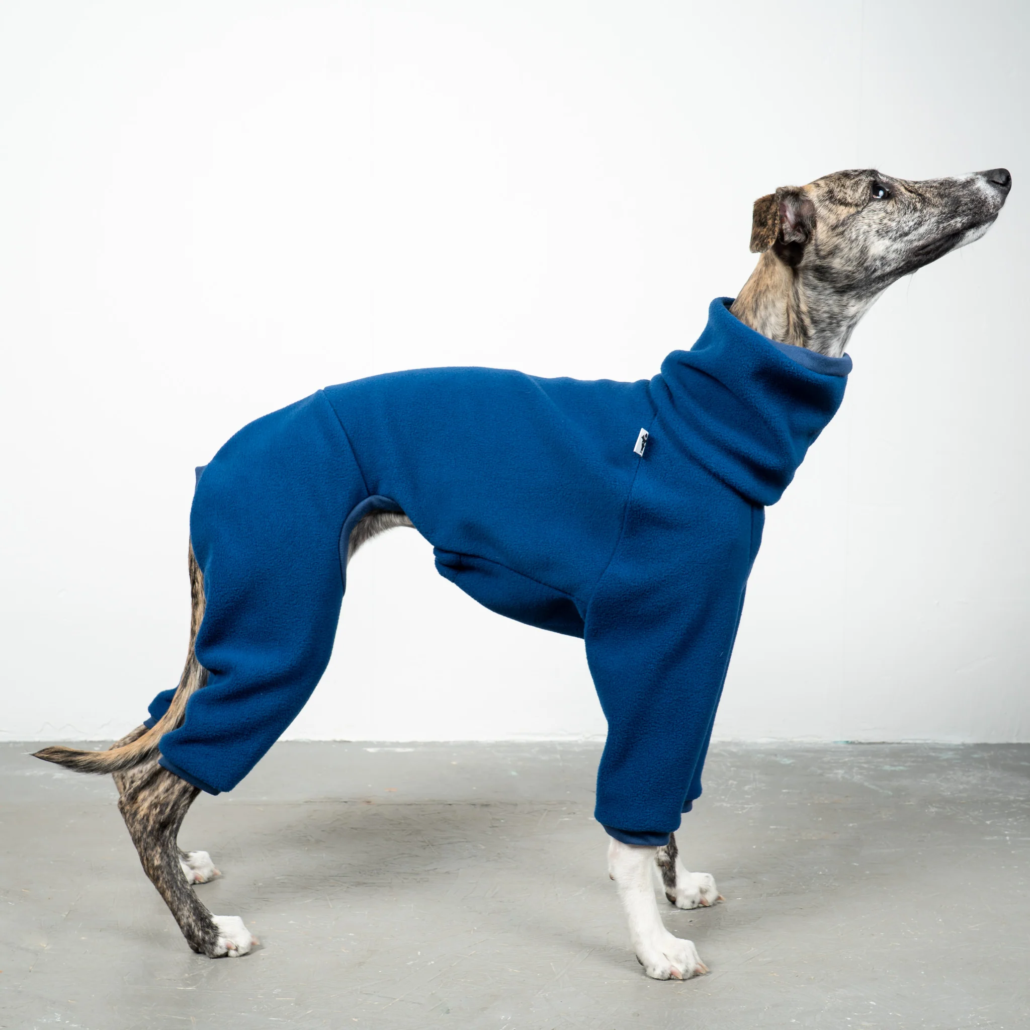 OVERALL Windhund Navy - Image 2