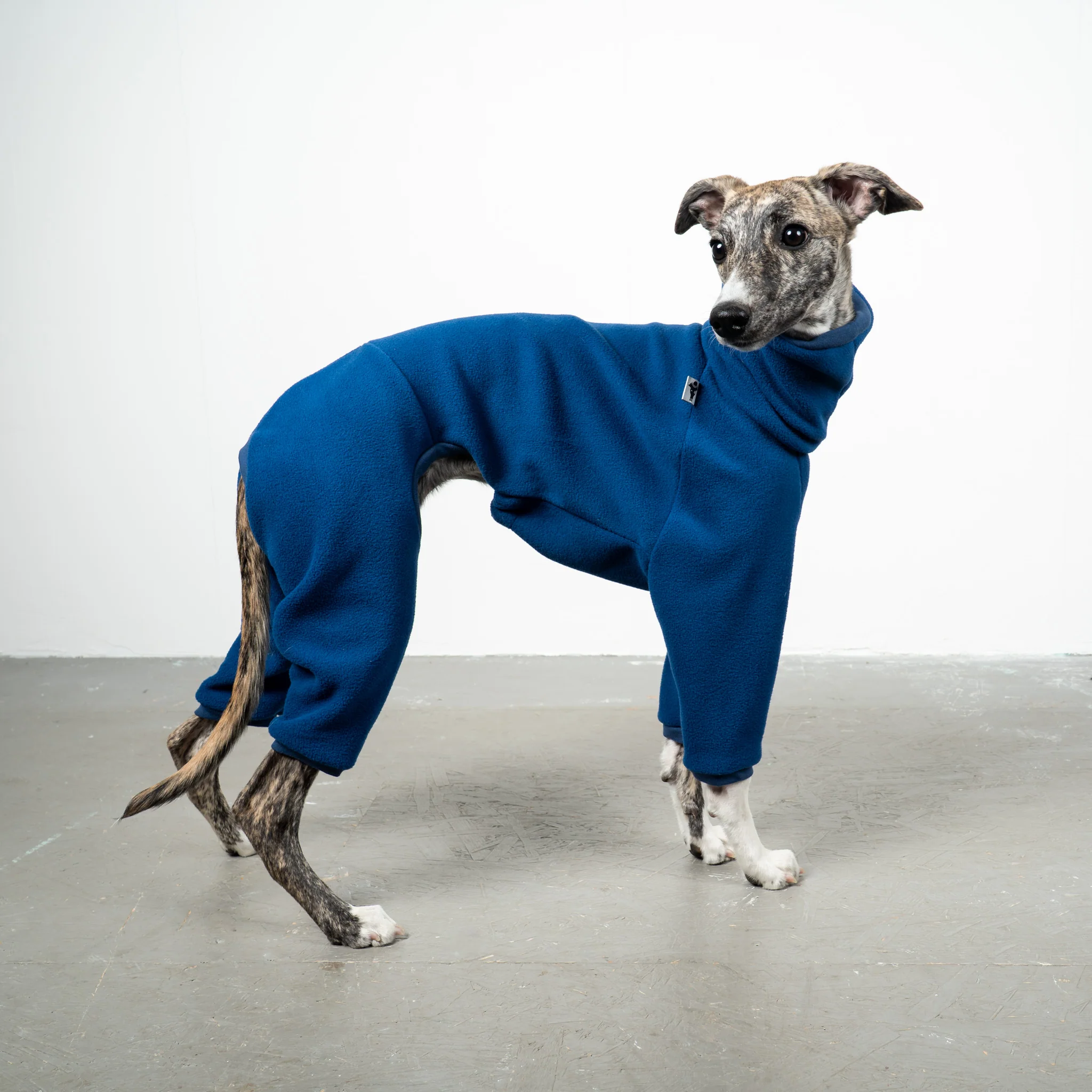OVERALL Windhund Navy - Image 3
