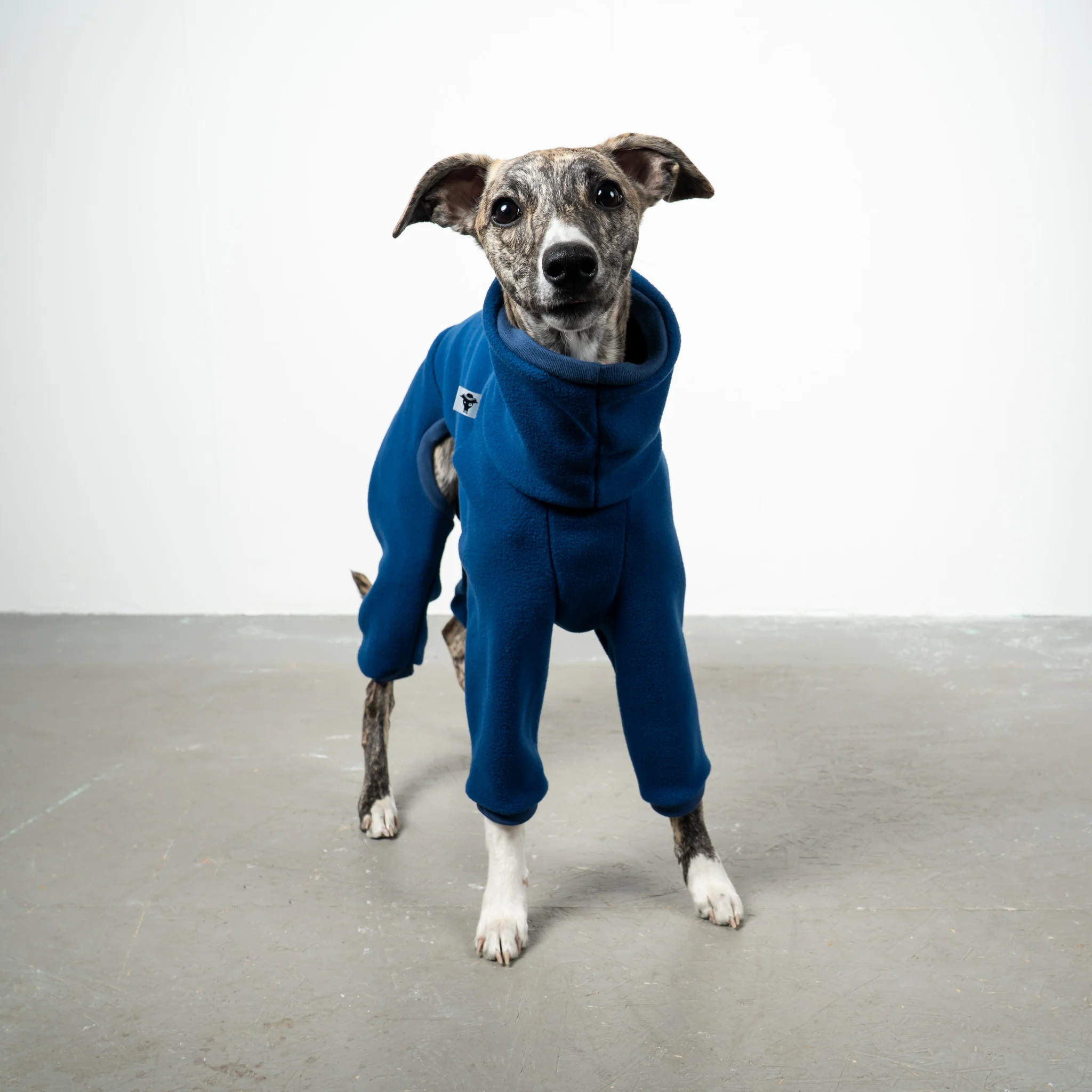 OVERALL Windhund Navy - Image 5