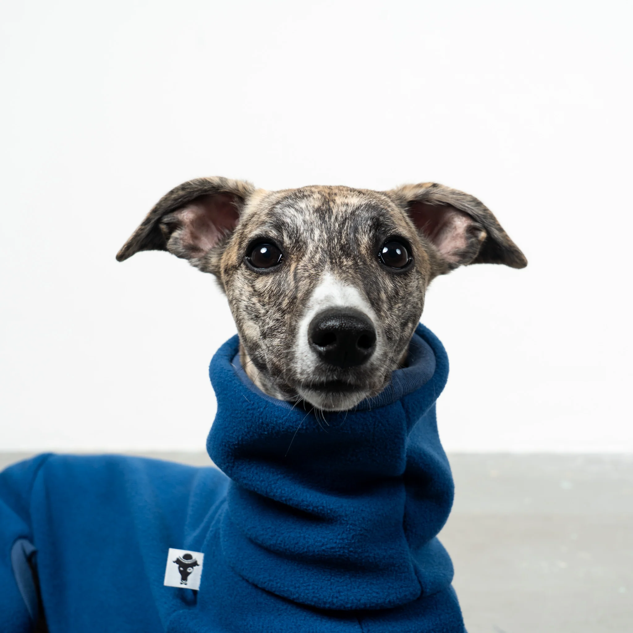OVERALL Windhund Navy - Image 6