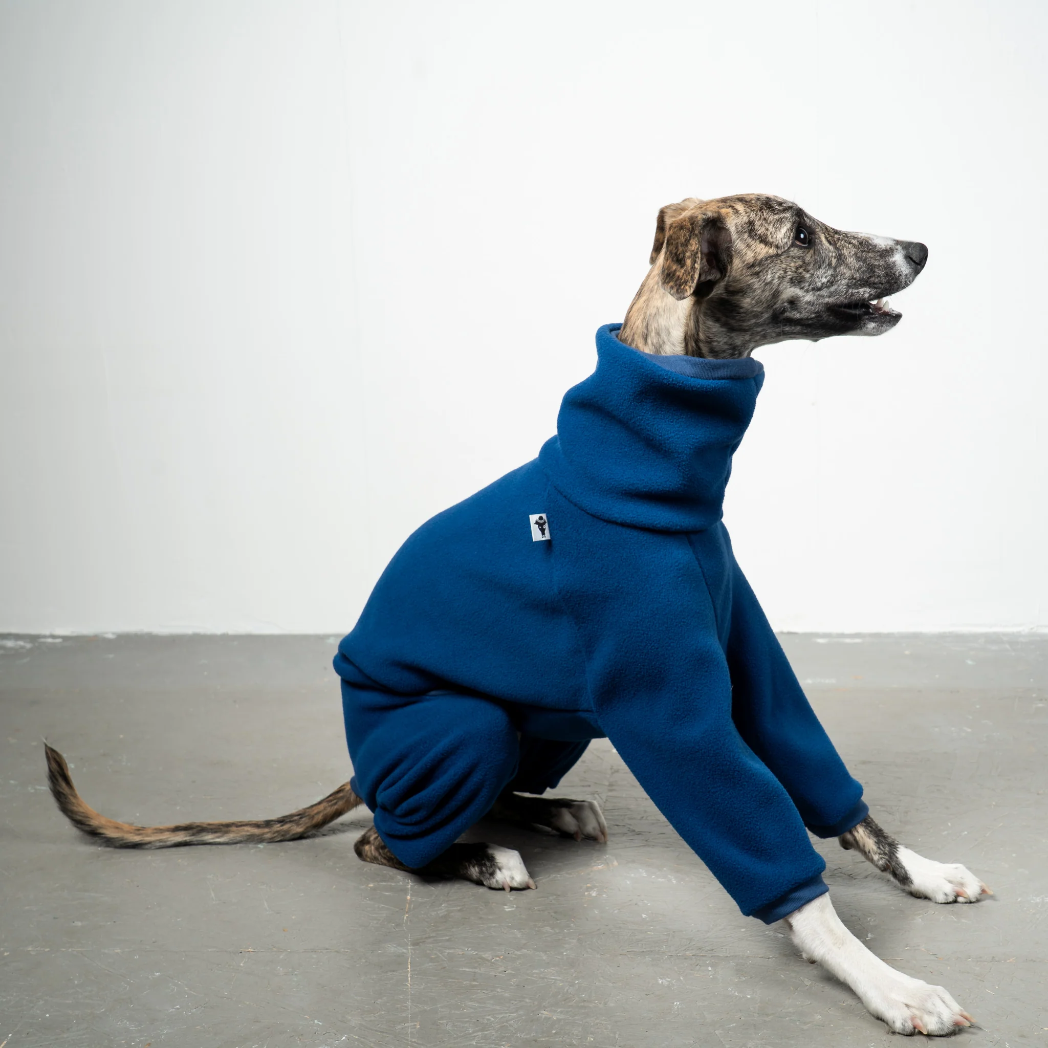 OVERALL Windhund Navy - Image 7