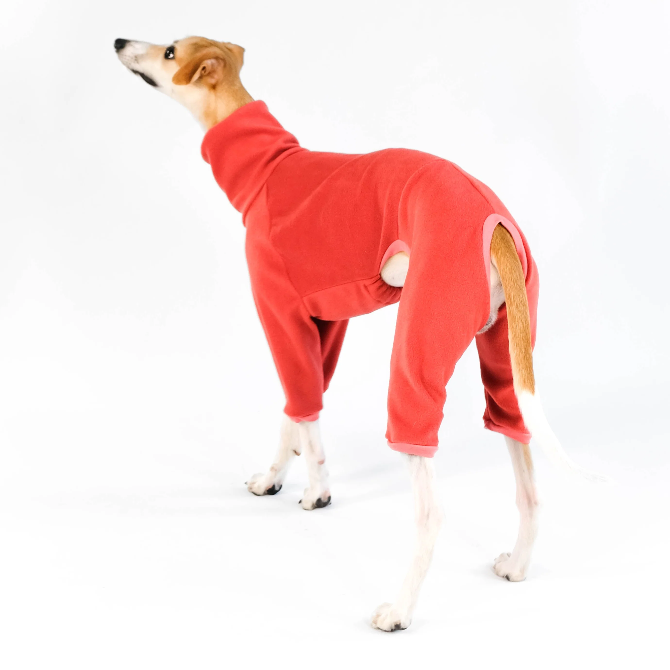 OVERALL Windhund Terracotta - Image 4