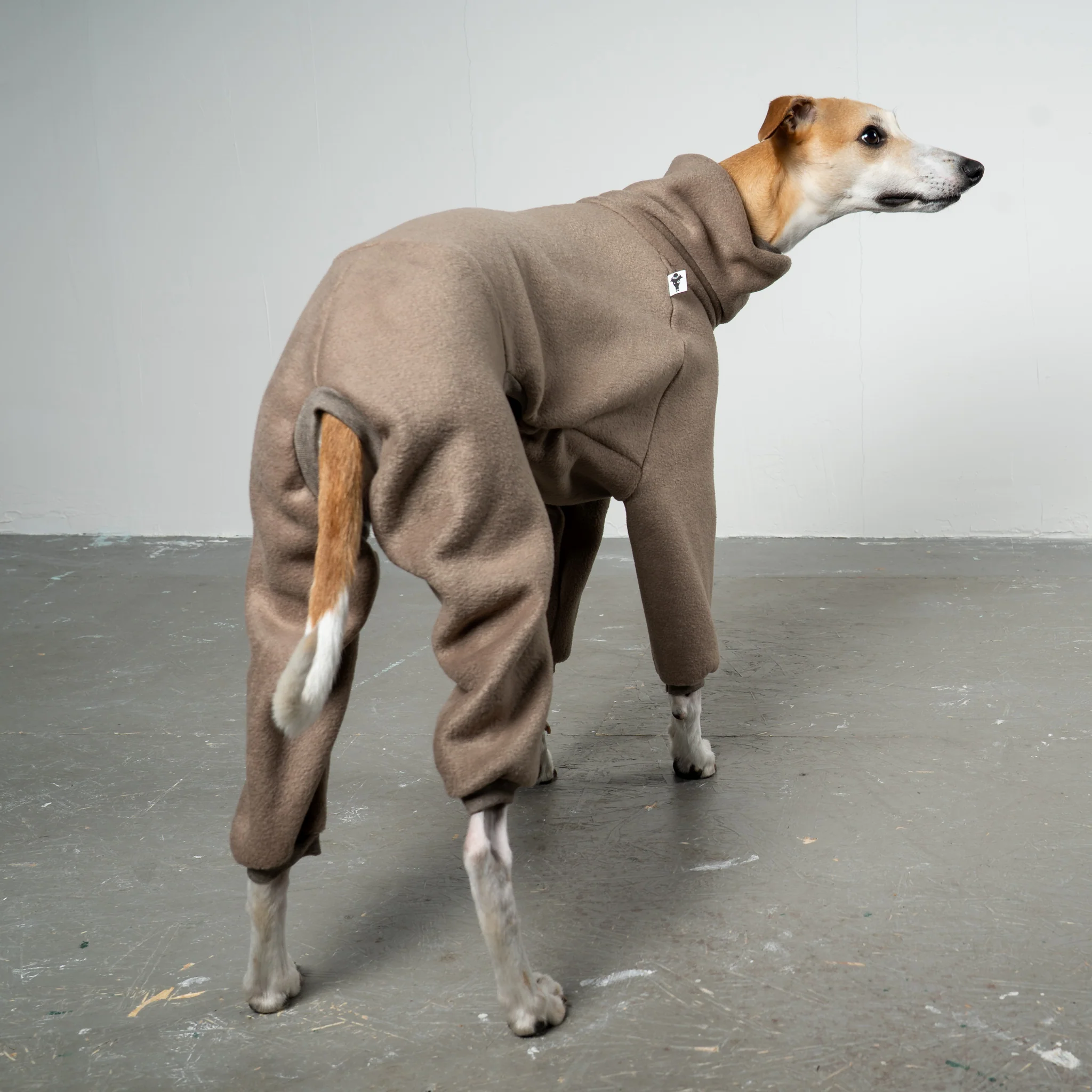 OVERALL Windhund Walnut - Image 3