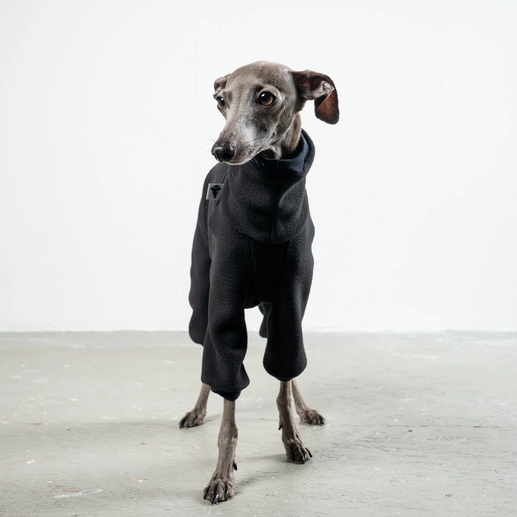 OVERALL Iggy Schwarz - Image 3