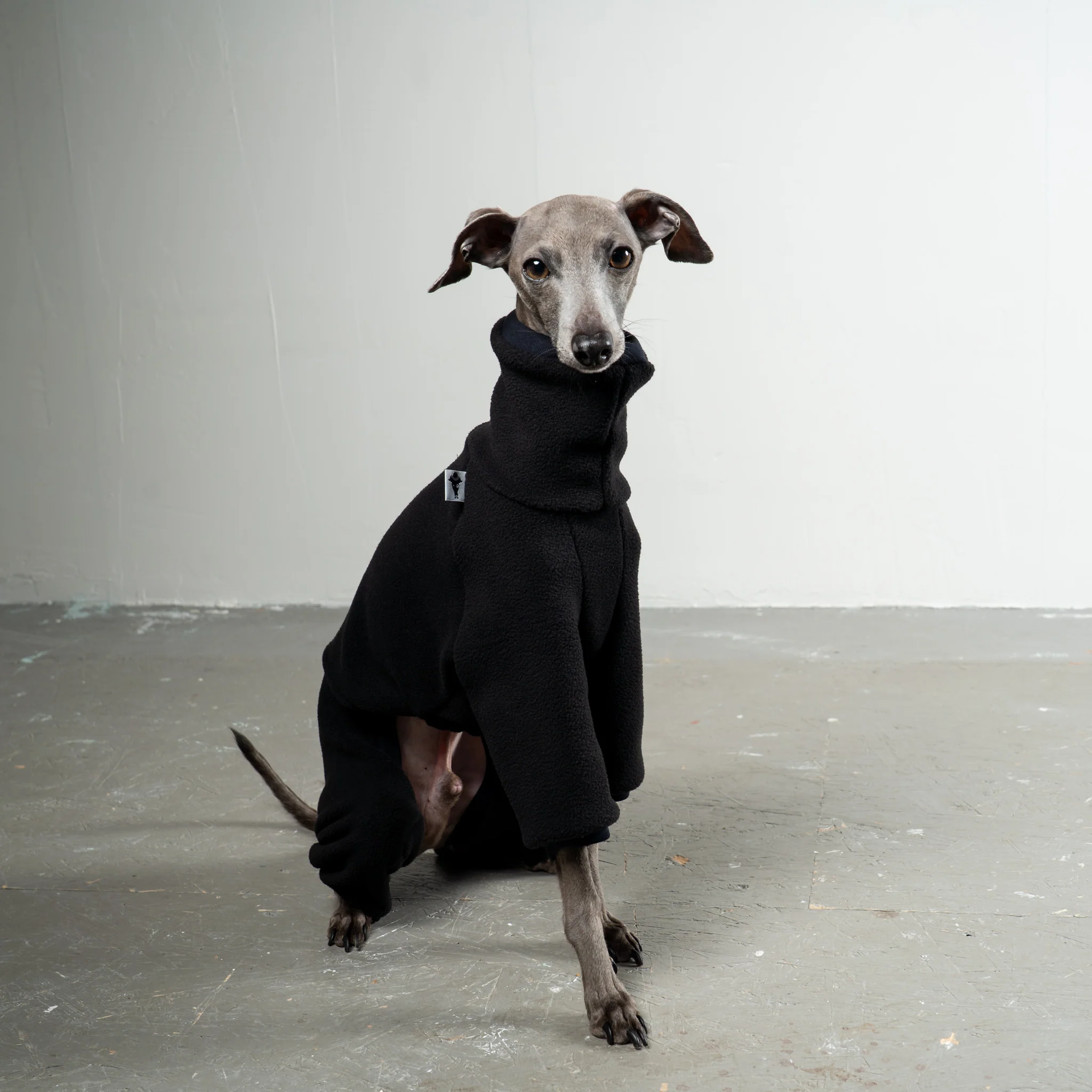 OVERALL Iggy Schwarz - Image 4