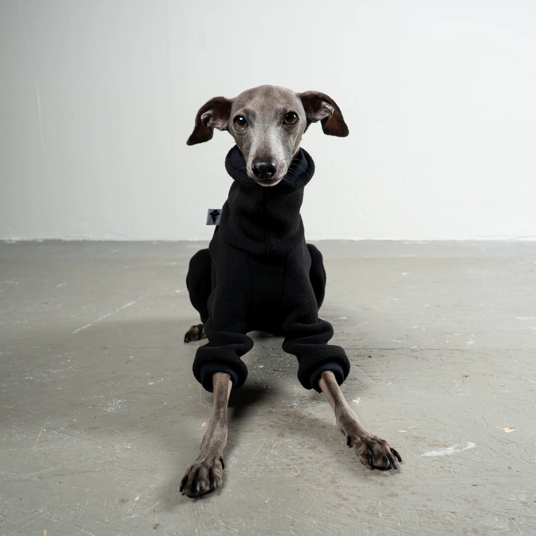 OVERALL Iggy Schwarz - Image 5