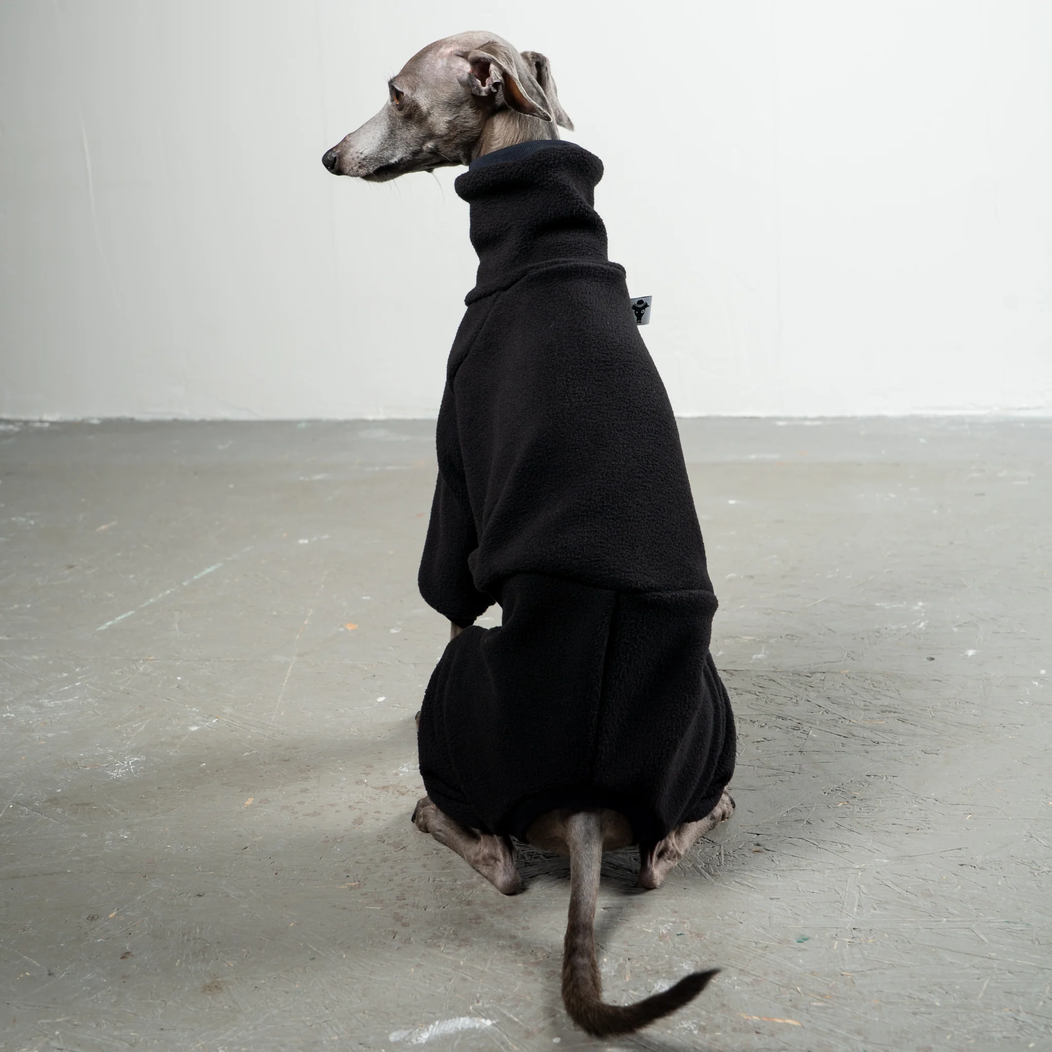OVERALL Iggy Schwarz - Image 6