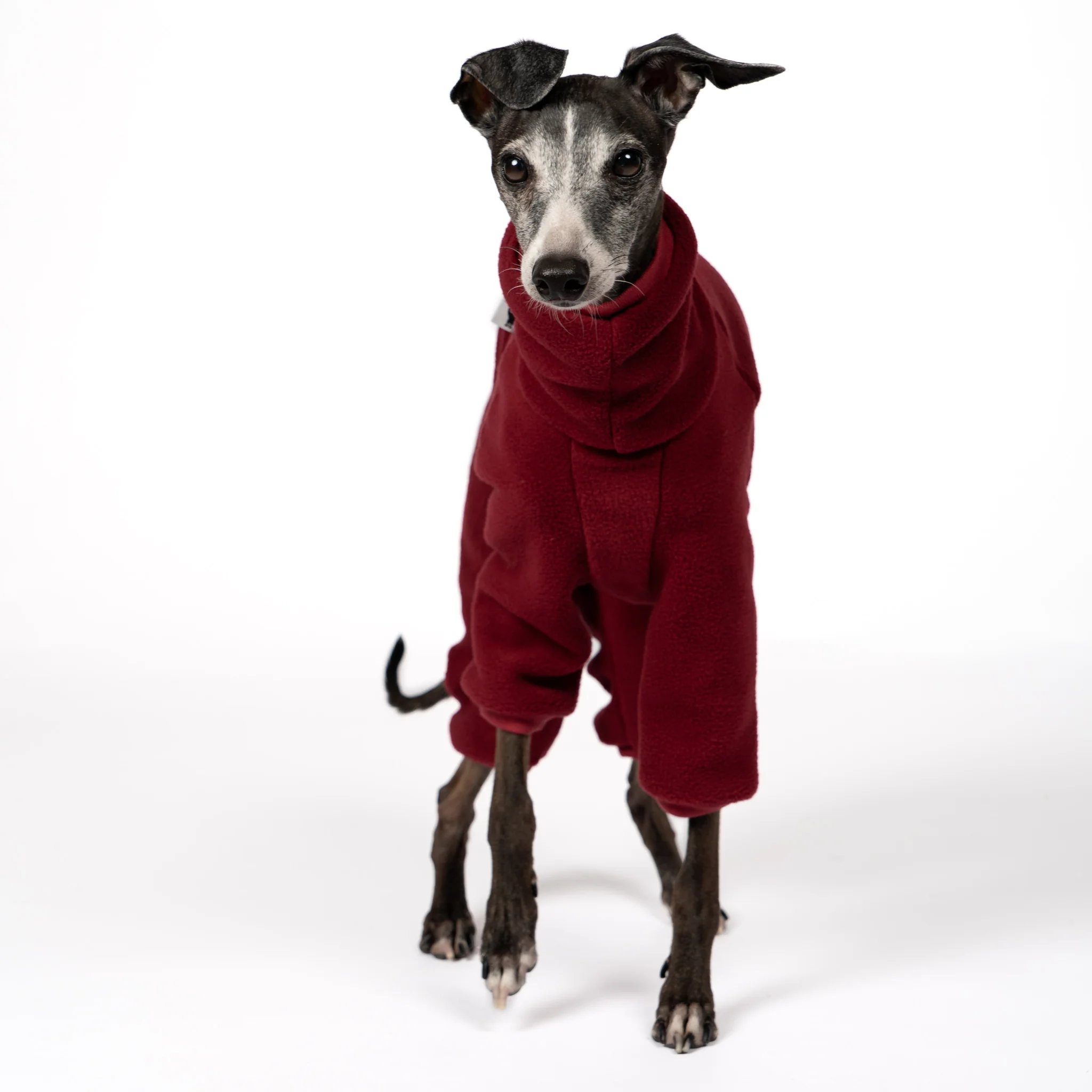 OVERALL Iggy Bordeaux - Image 2