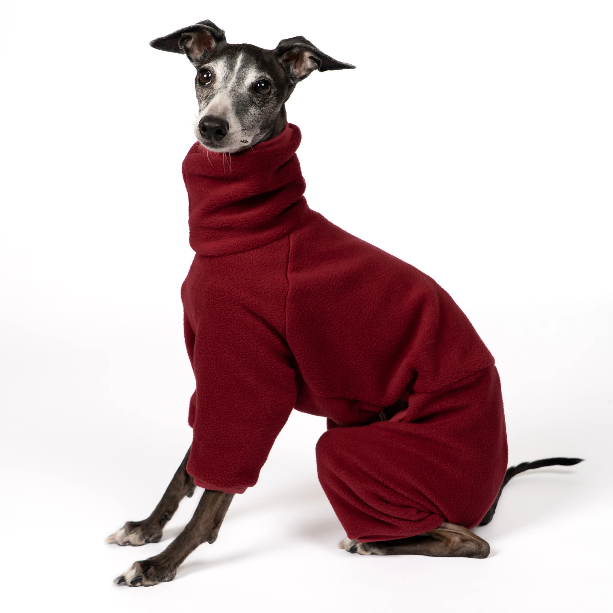 OVERALL Iggy Bordeaux - Image 3