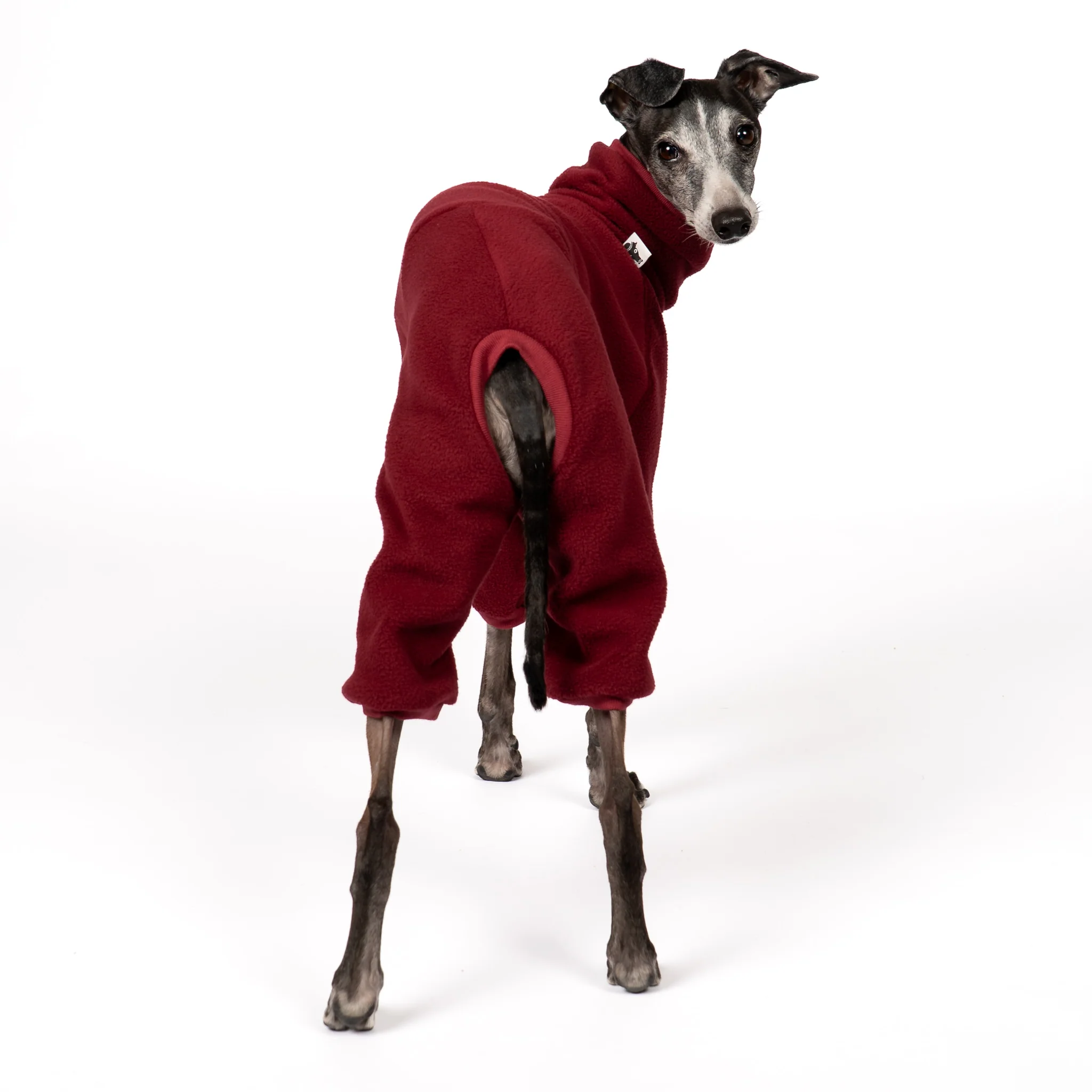 OVERALL Iggy Bordeaux - Image 4