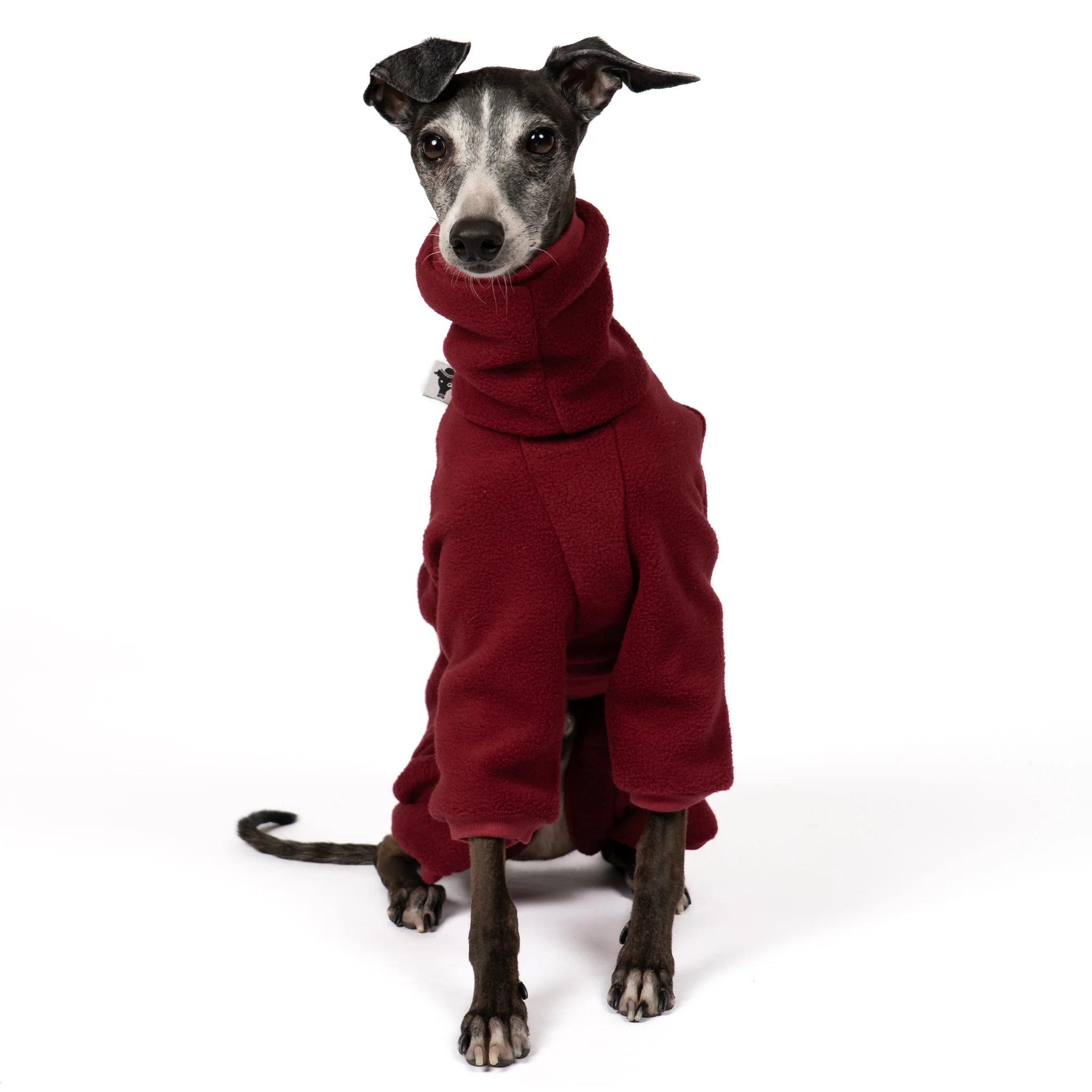 OVERALL Iggy Bordeaux - Image 5