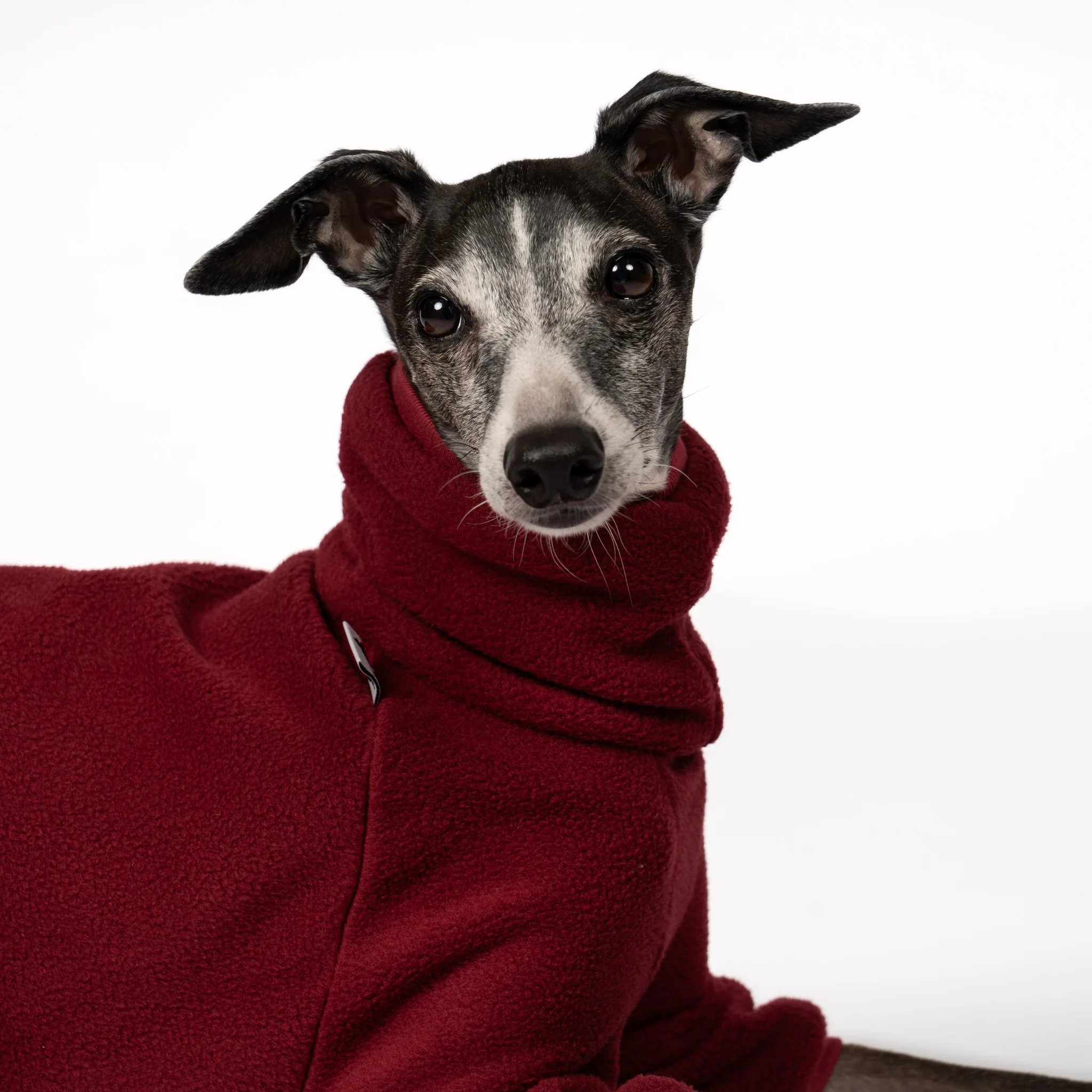 OVERALL Iggy Bordeaux - Image 7