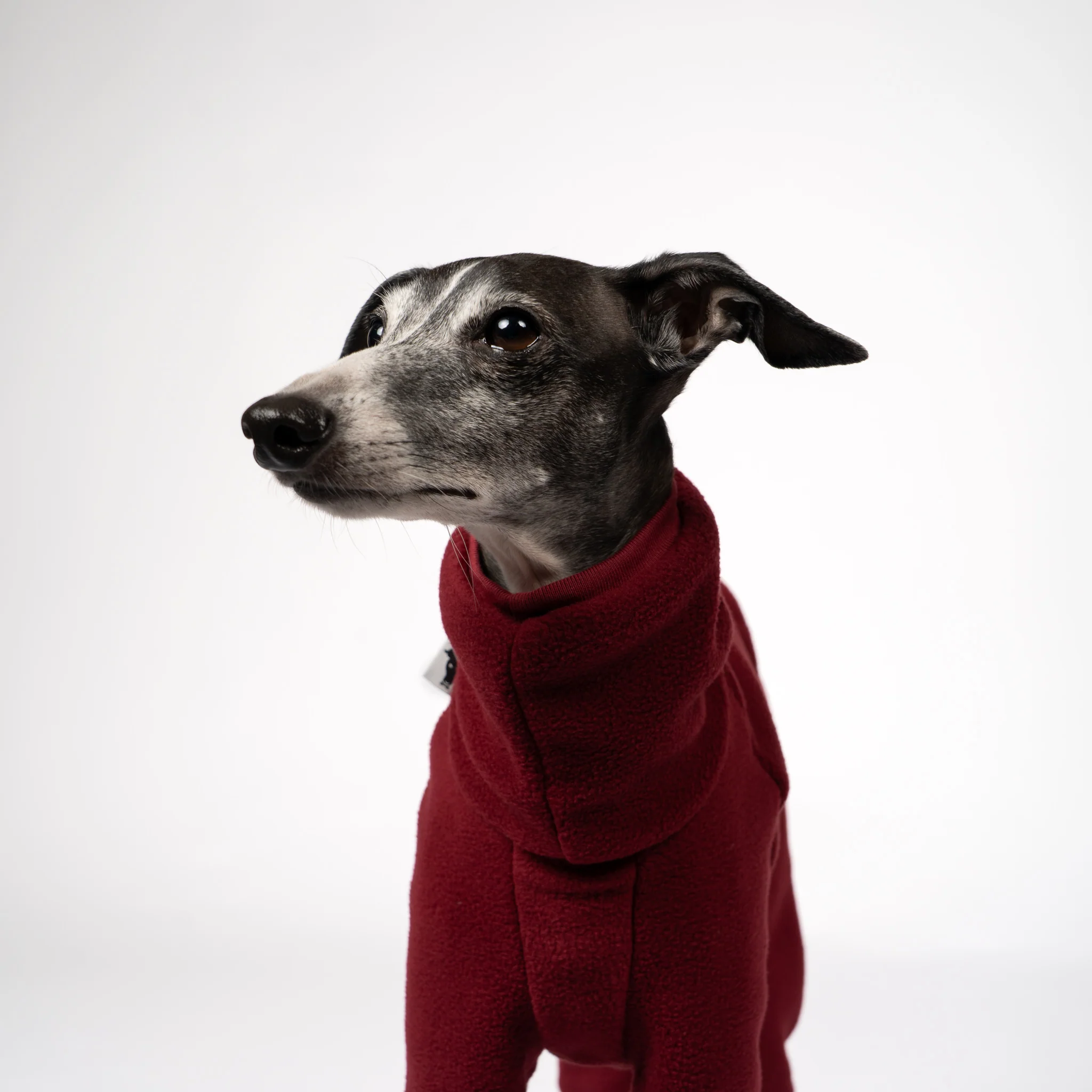 OVERALL Iggy Bordeaux - Image 8