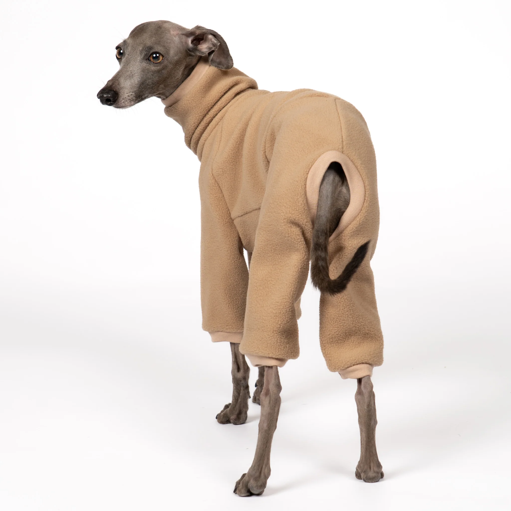 OVERALL Iggy Camel - Image 3