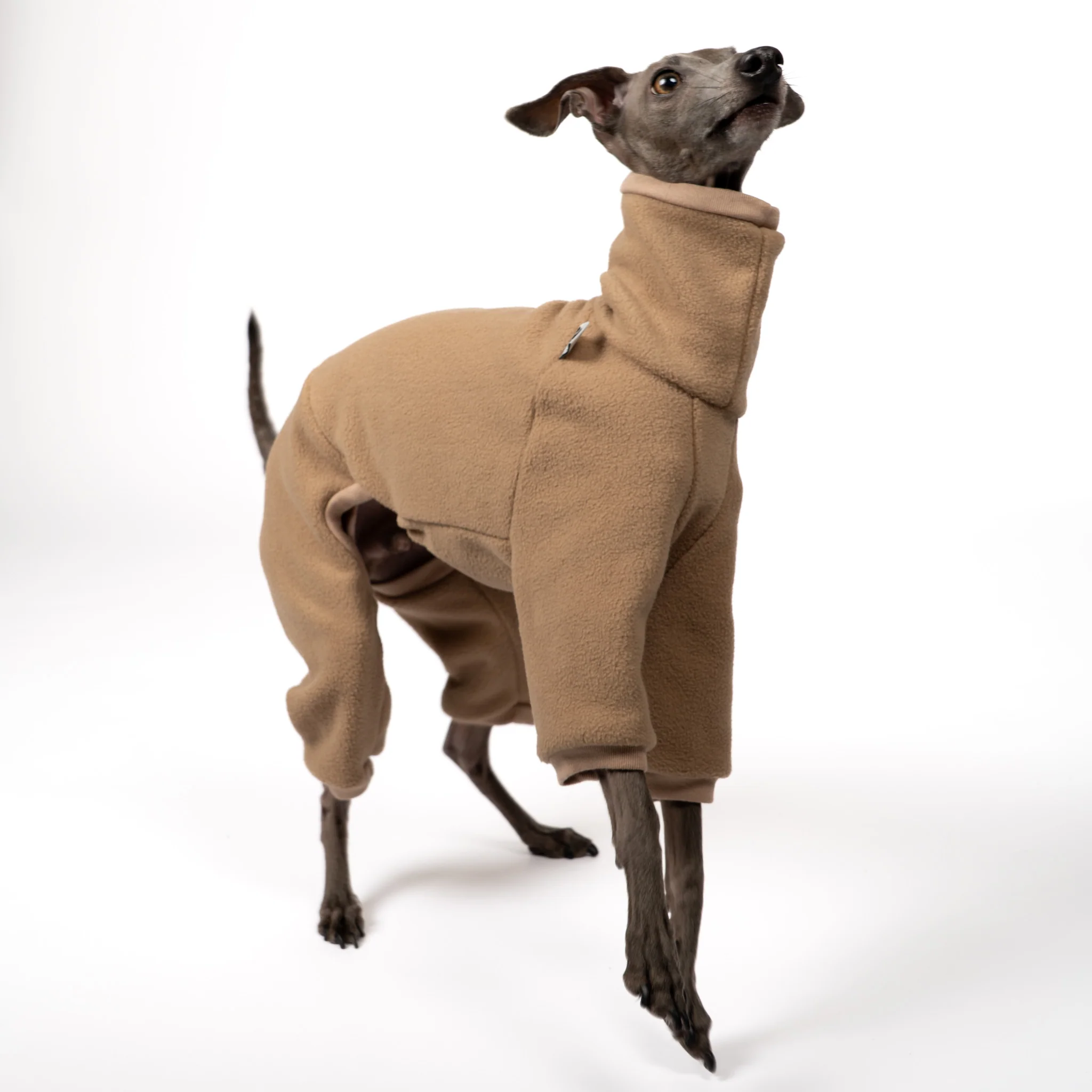 OVERALL Iggy Camel - Image 4