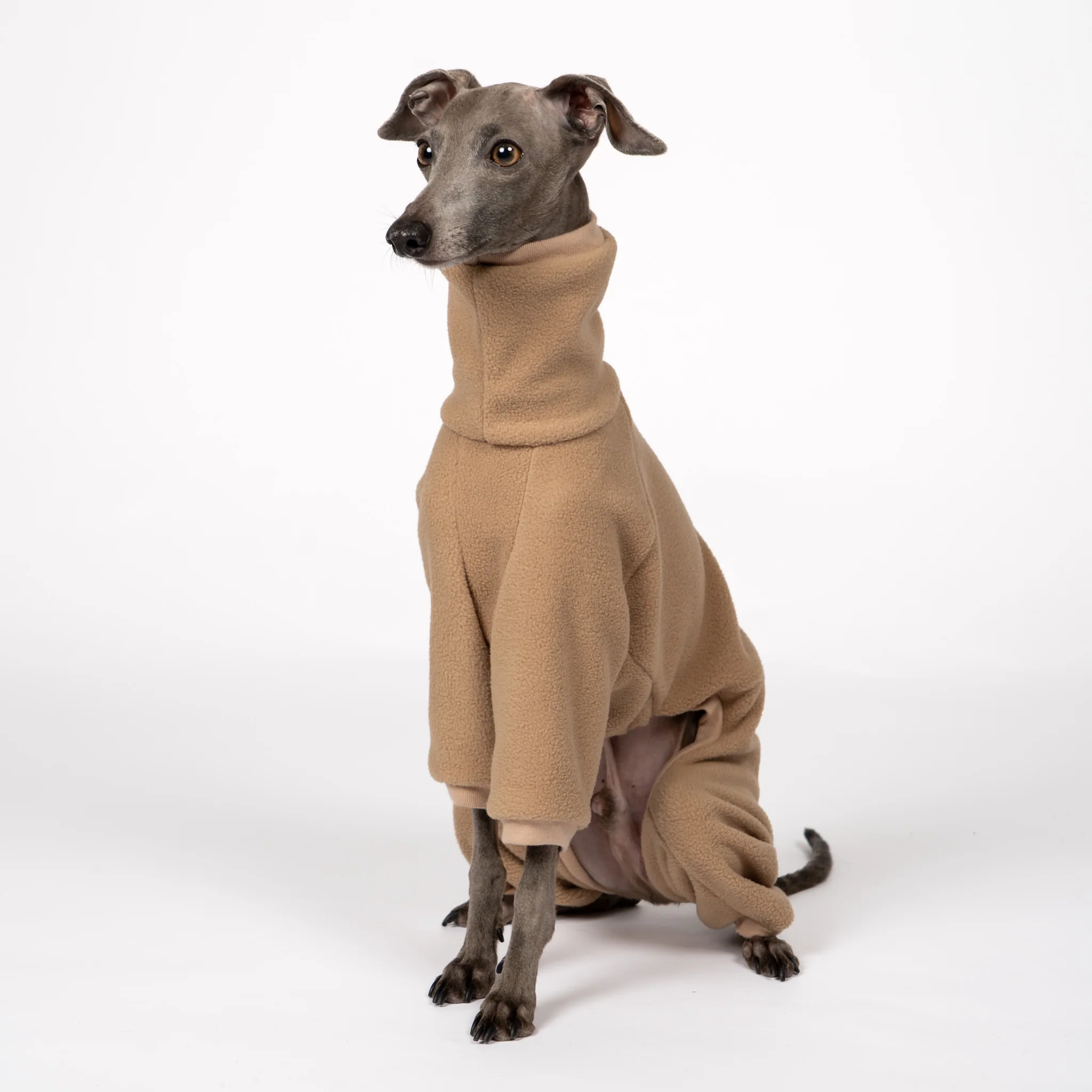OVERALL Iggy Camel - Image 5
