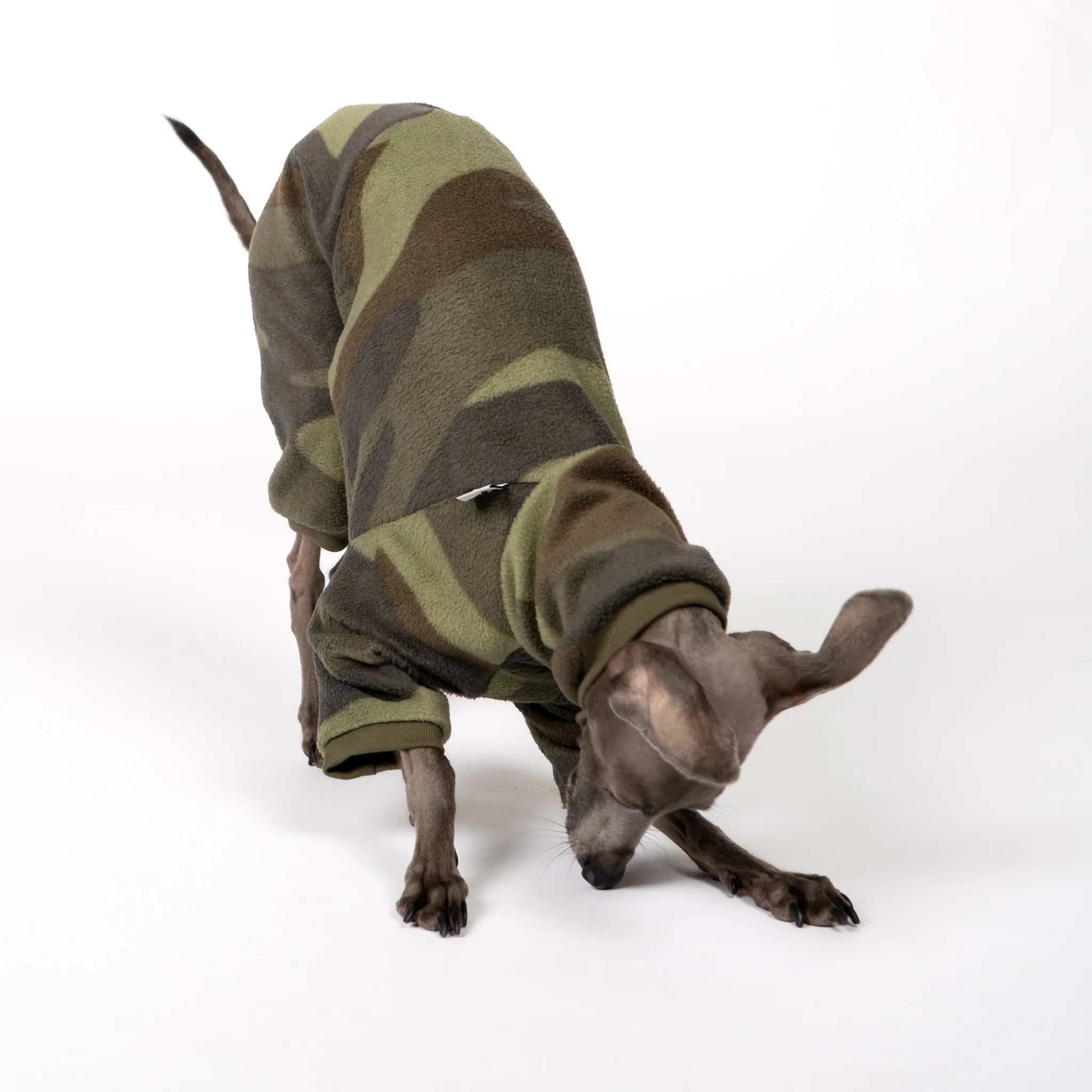 OVERALL Iggy Camouflage - Image 3