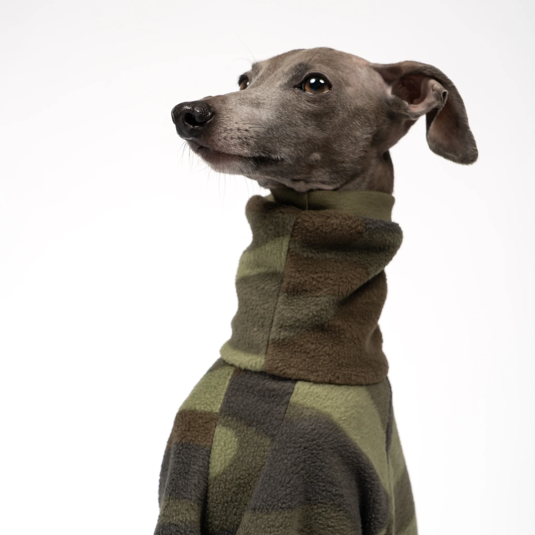 OVERALL Iggy Camouflage - Image 5