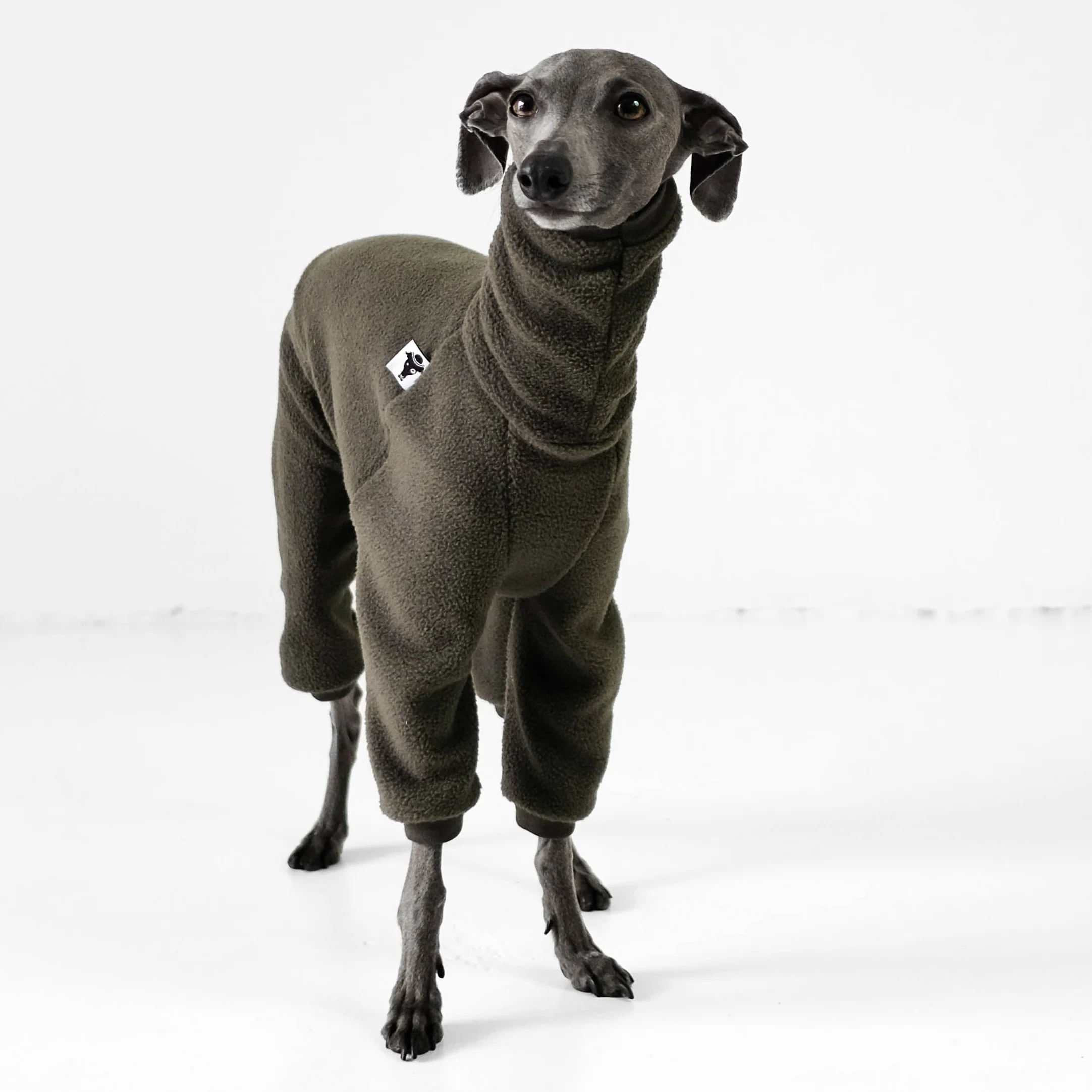 OVERALL Iggy Dark Olive - Image 5